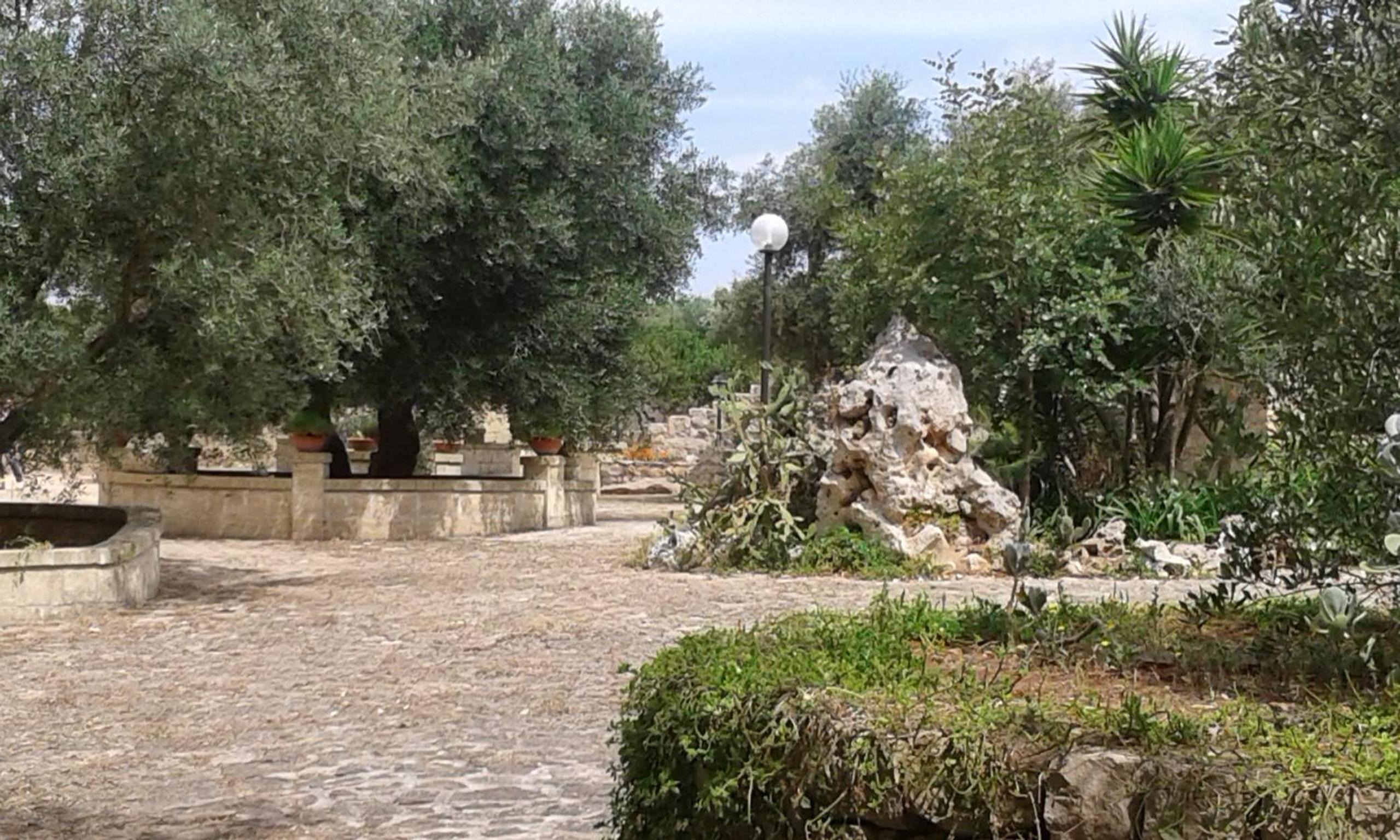 Photo 29