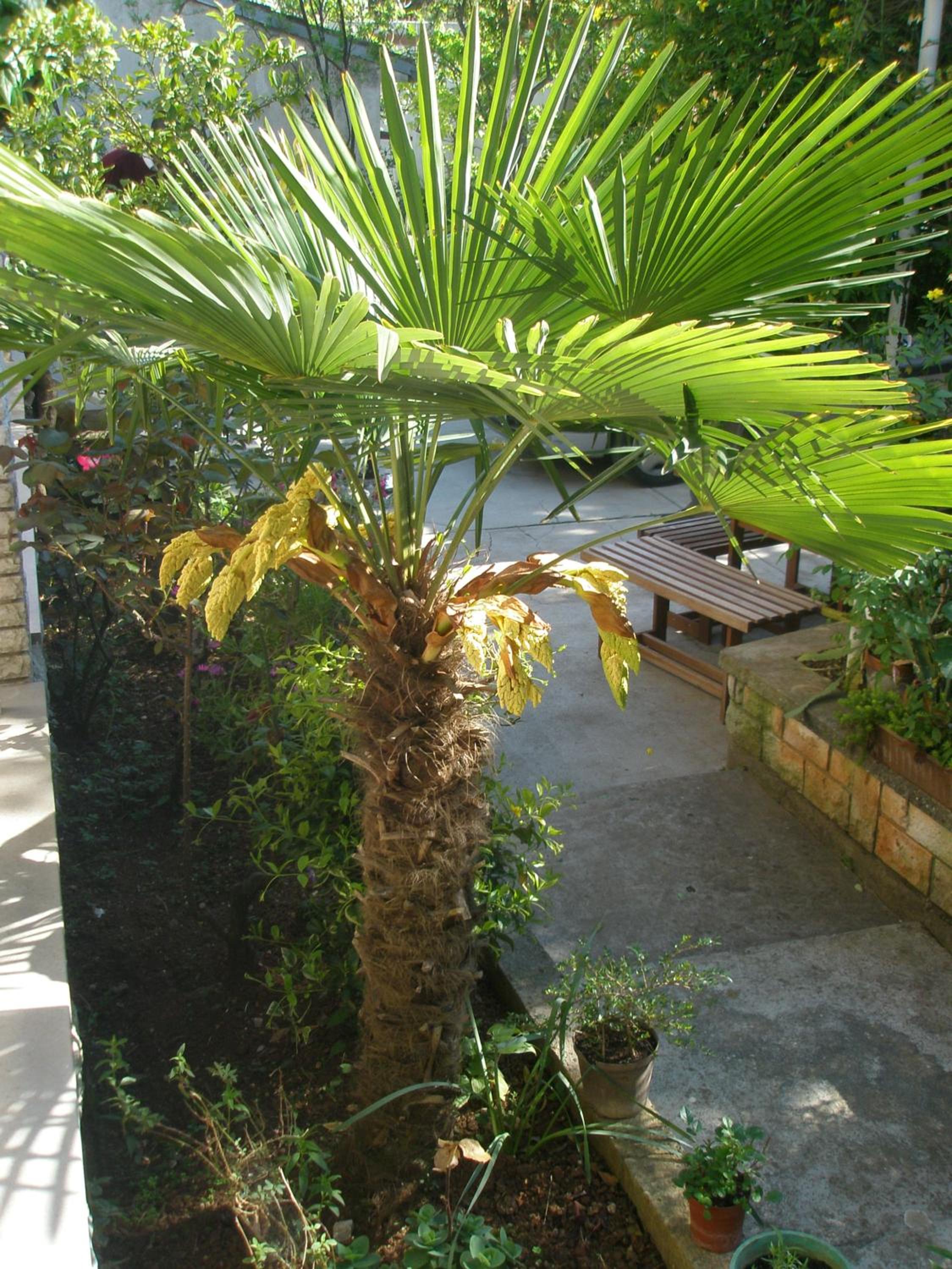 Apartment Rojnic