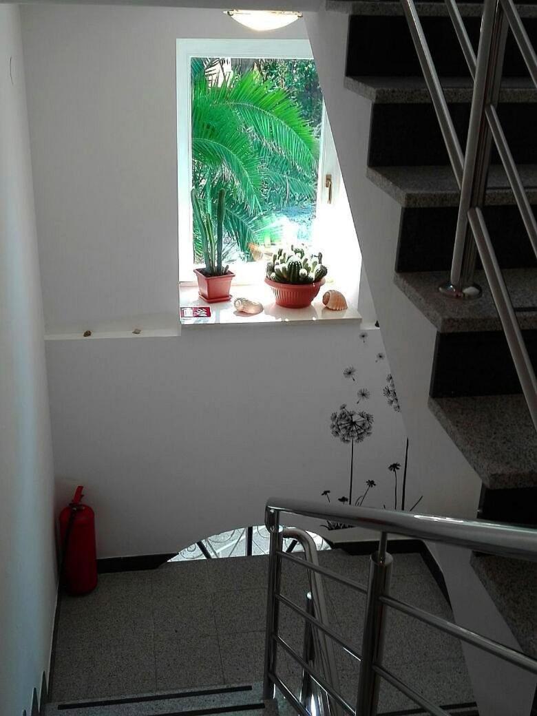 Photo 35