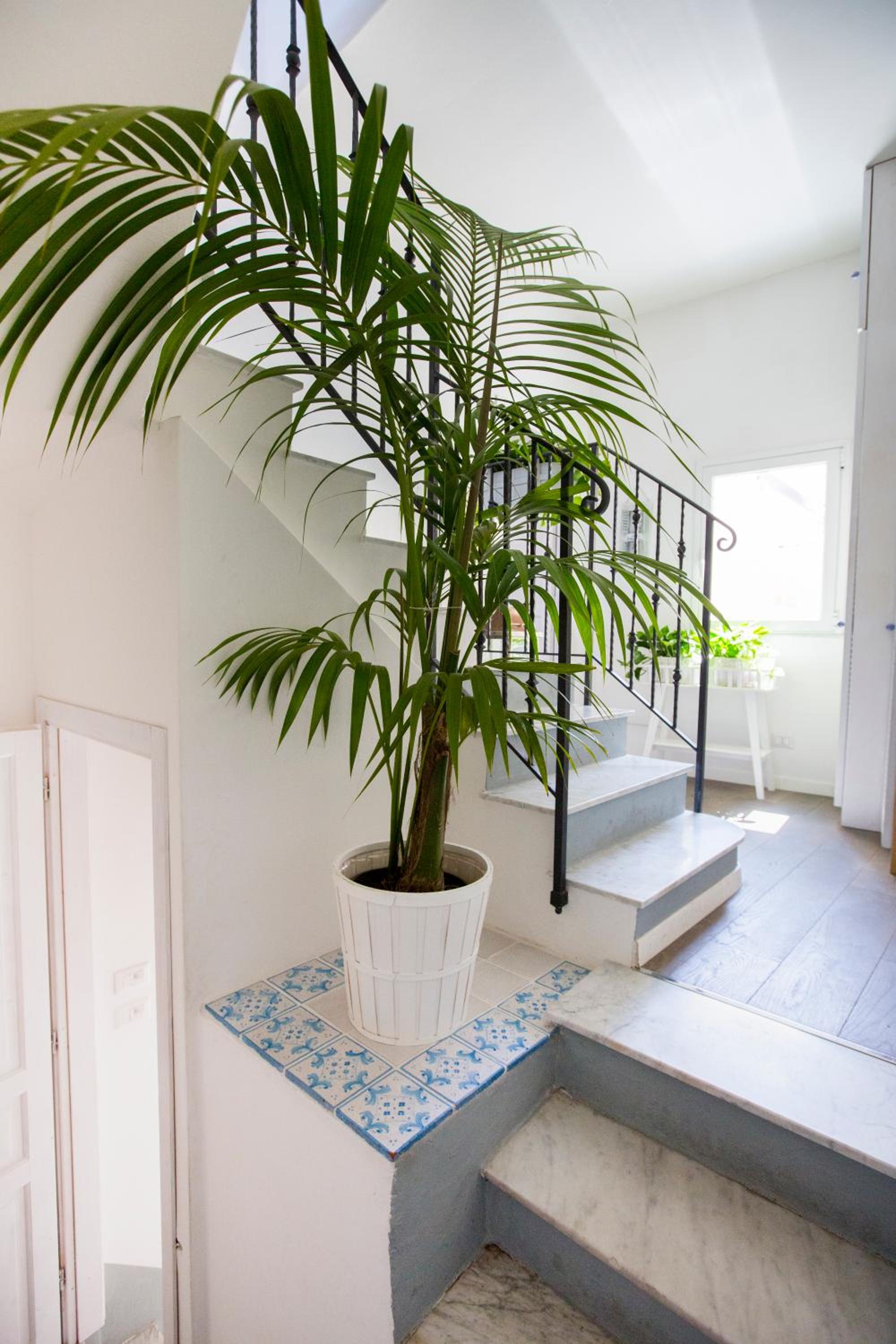 Azzurro B&B, photo 58