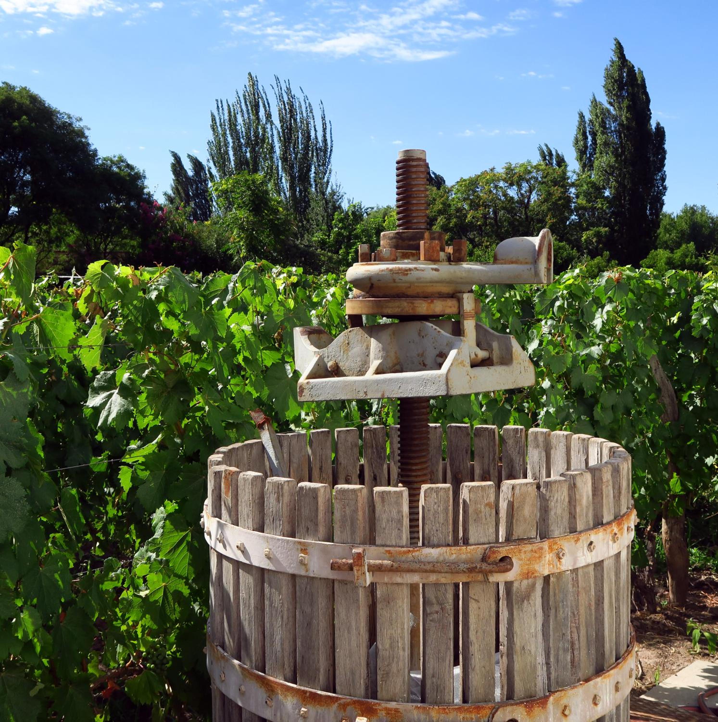 Finca Adalgisa Wine Hotel Mendoza