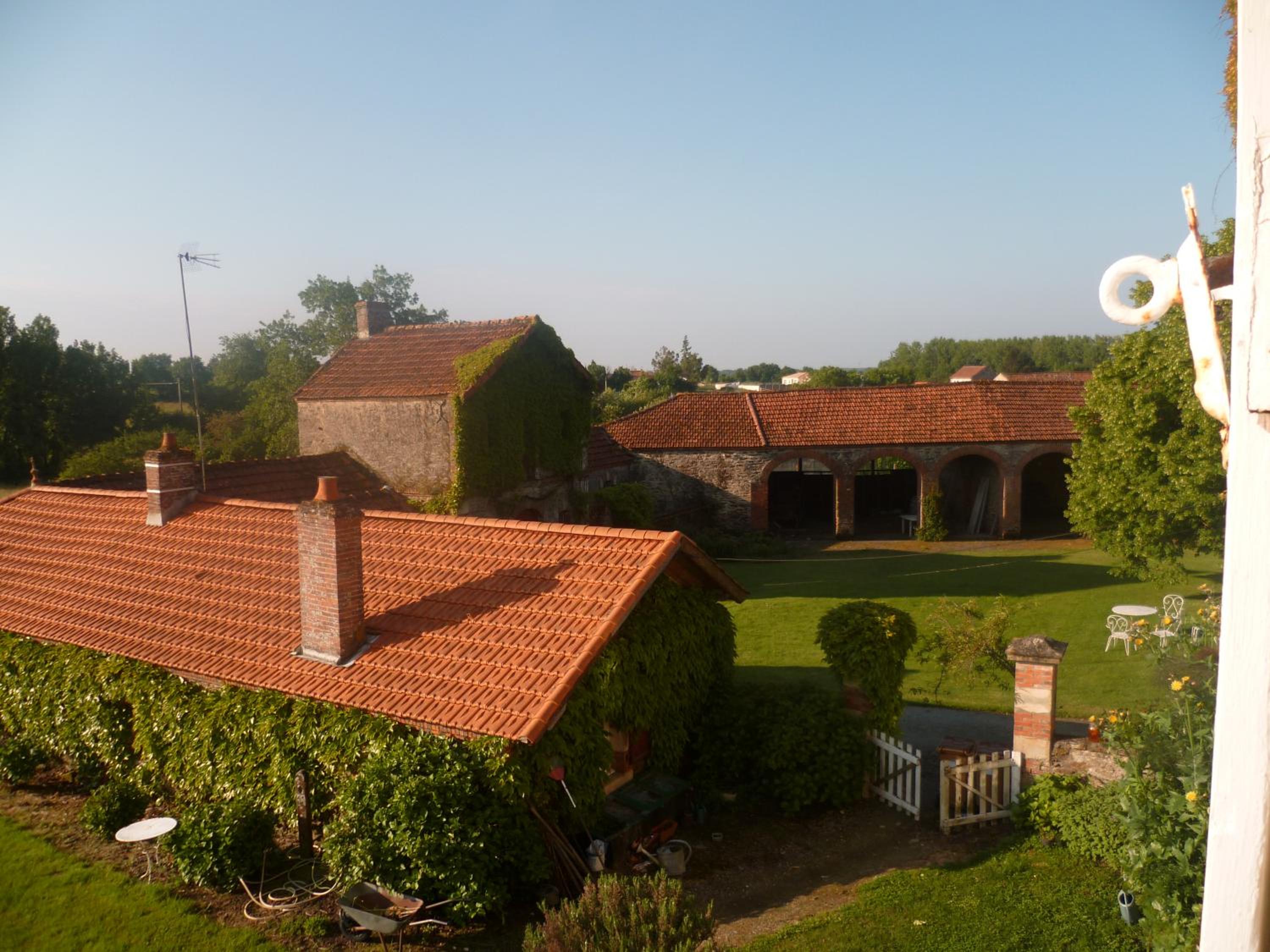Photo 10