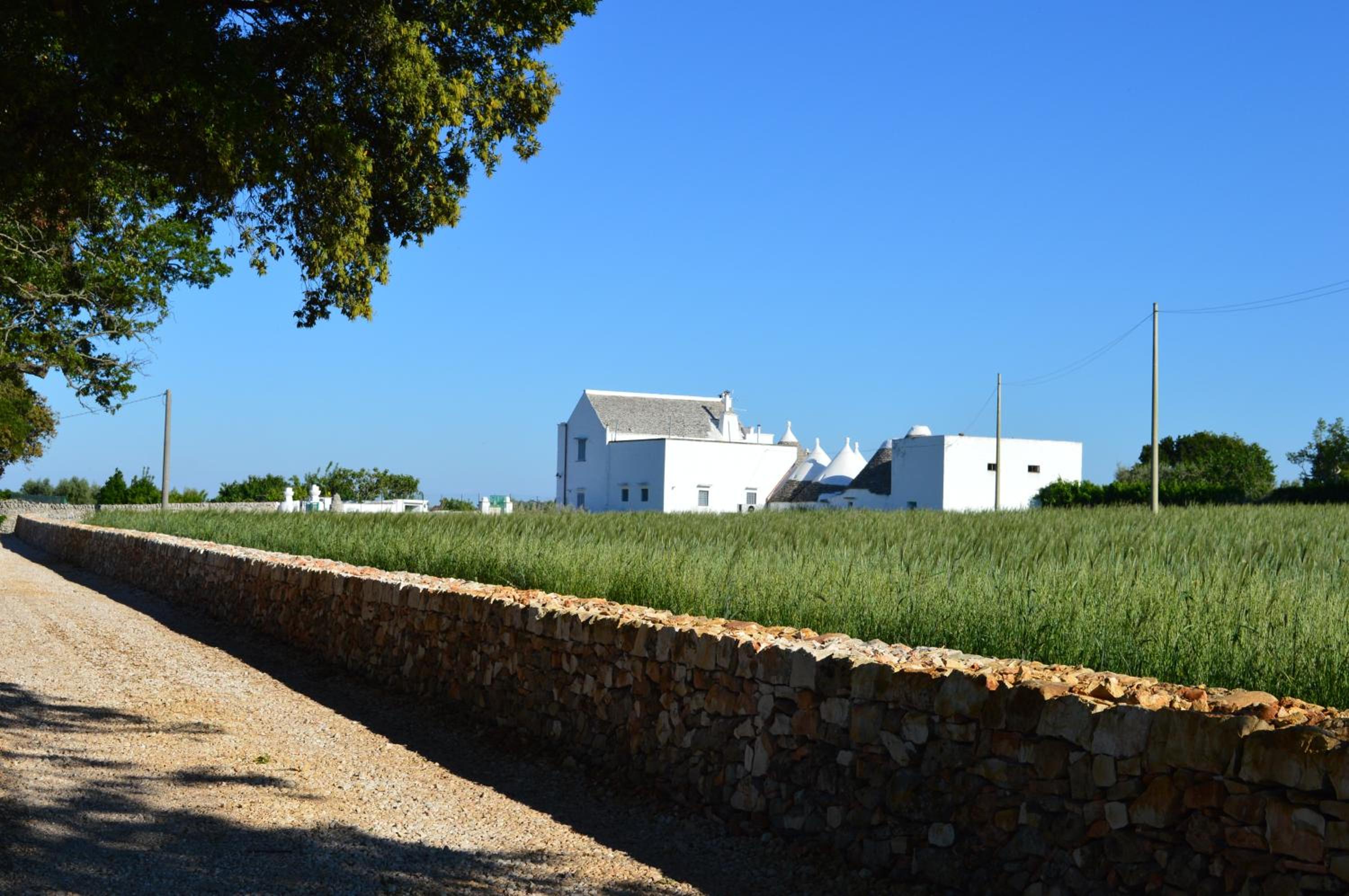 Masseria Faraone view 4