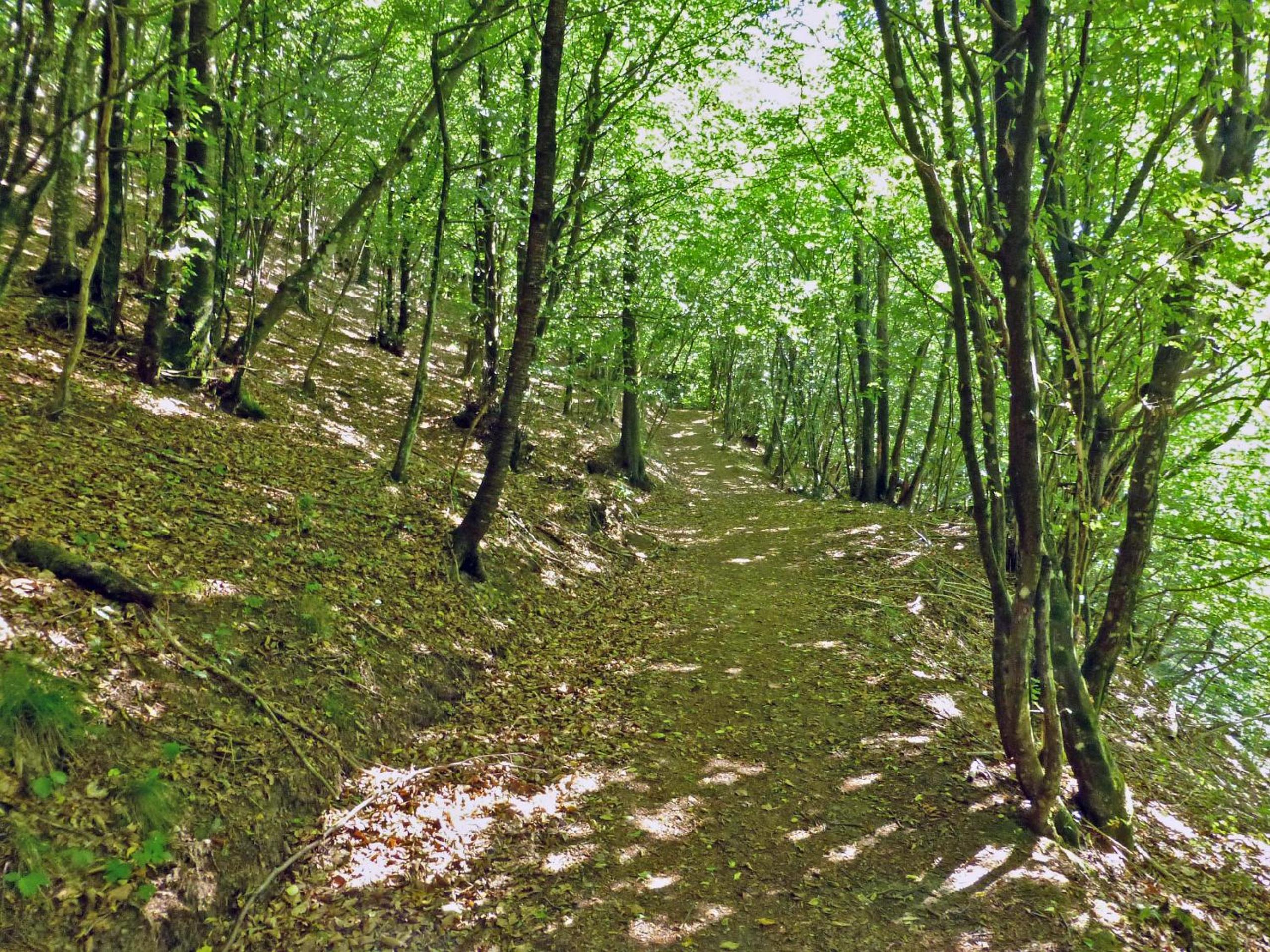Photo 26
