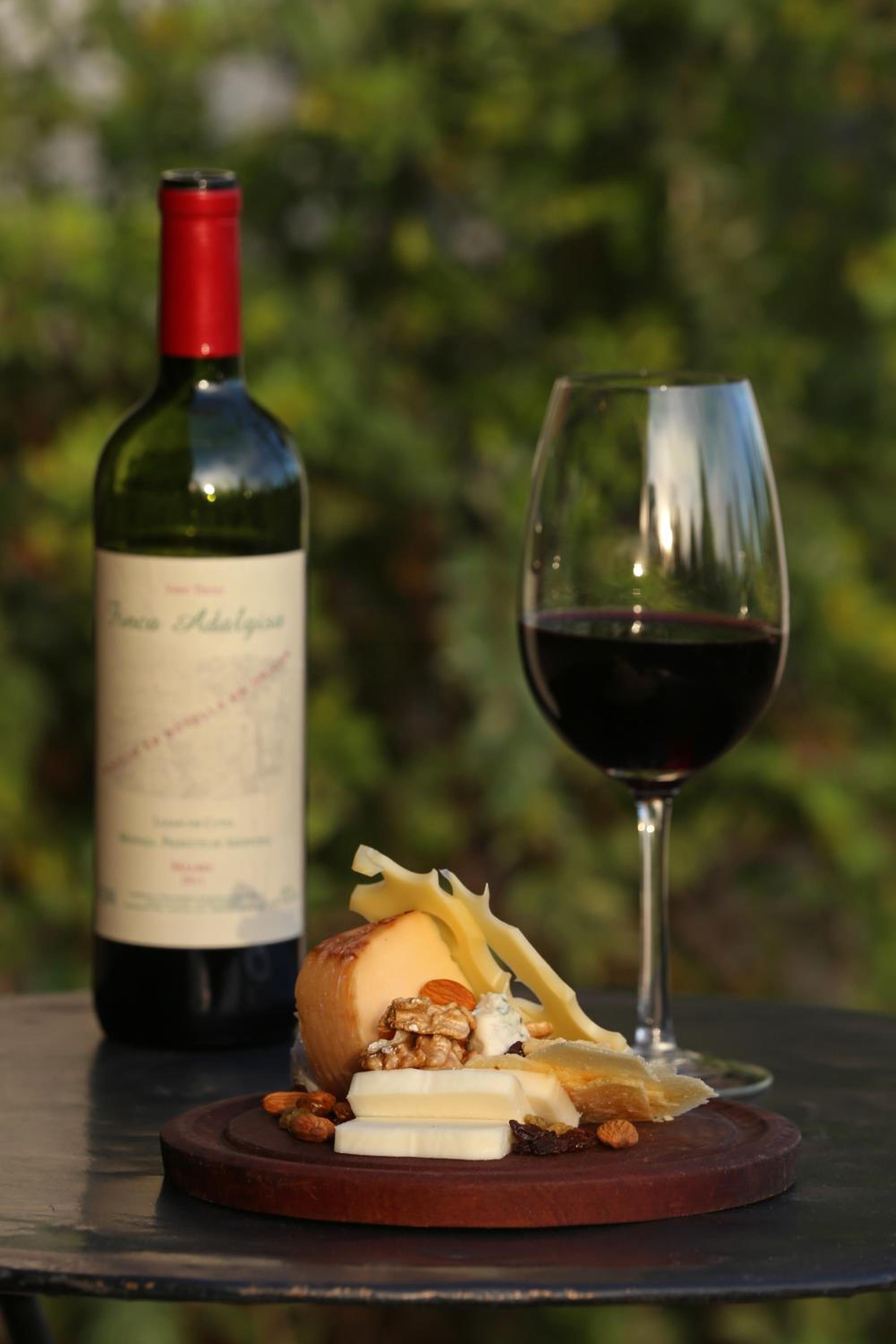 Finca Adalgisa Wine Hotel Mendoza