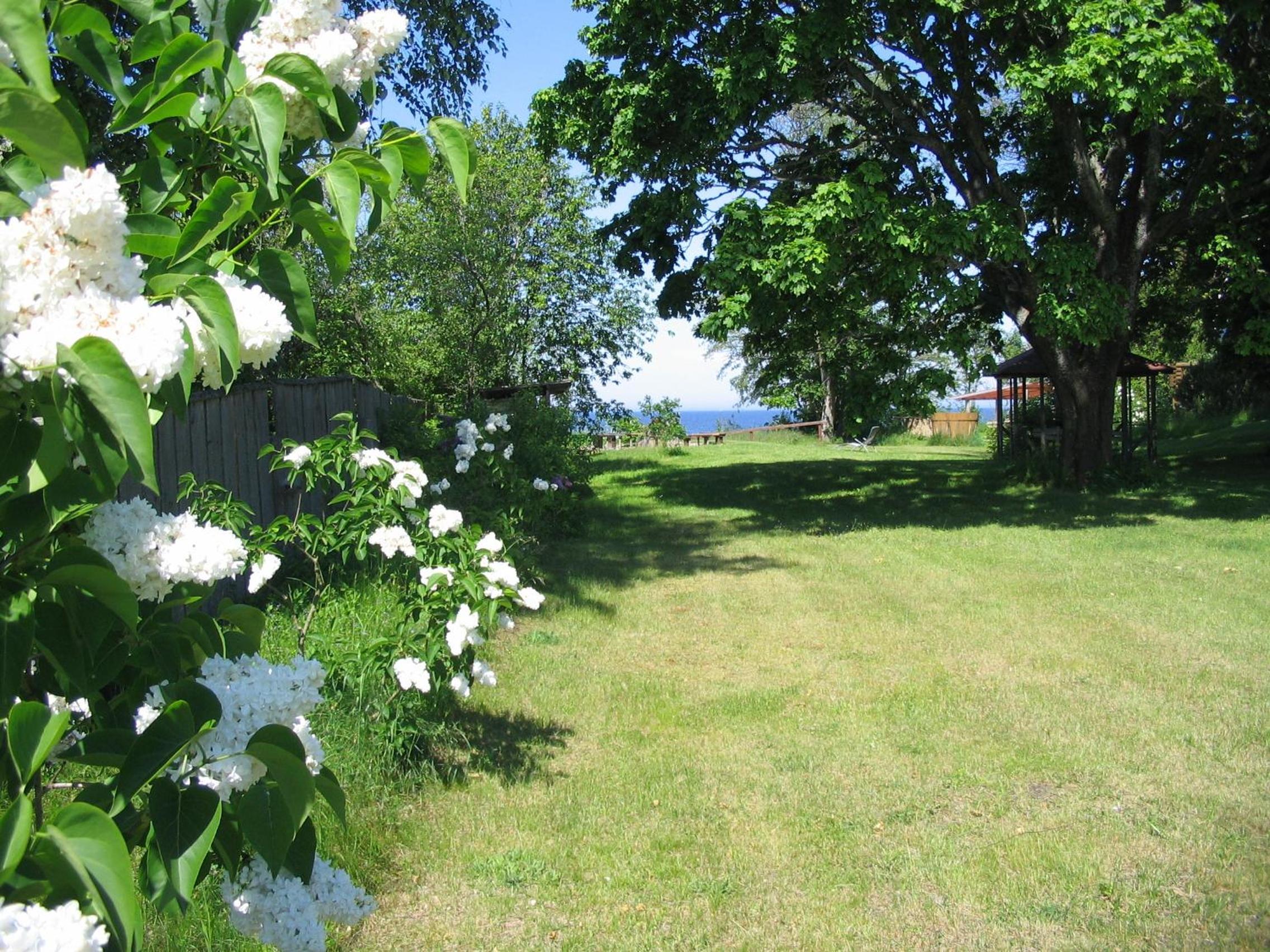 Photo 31
