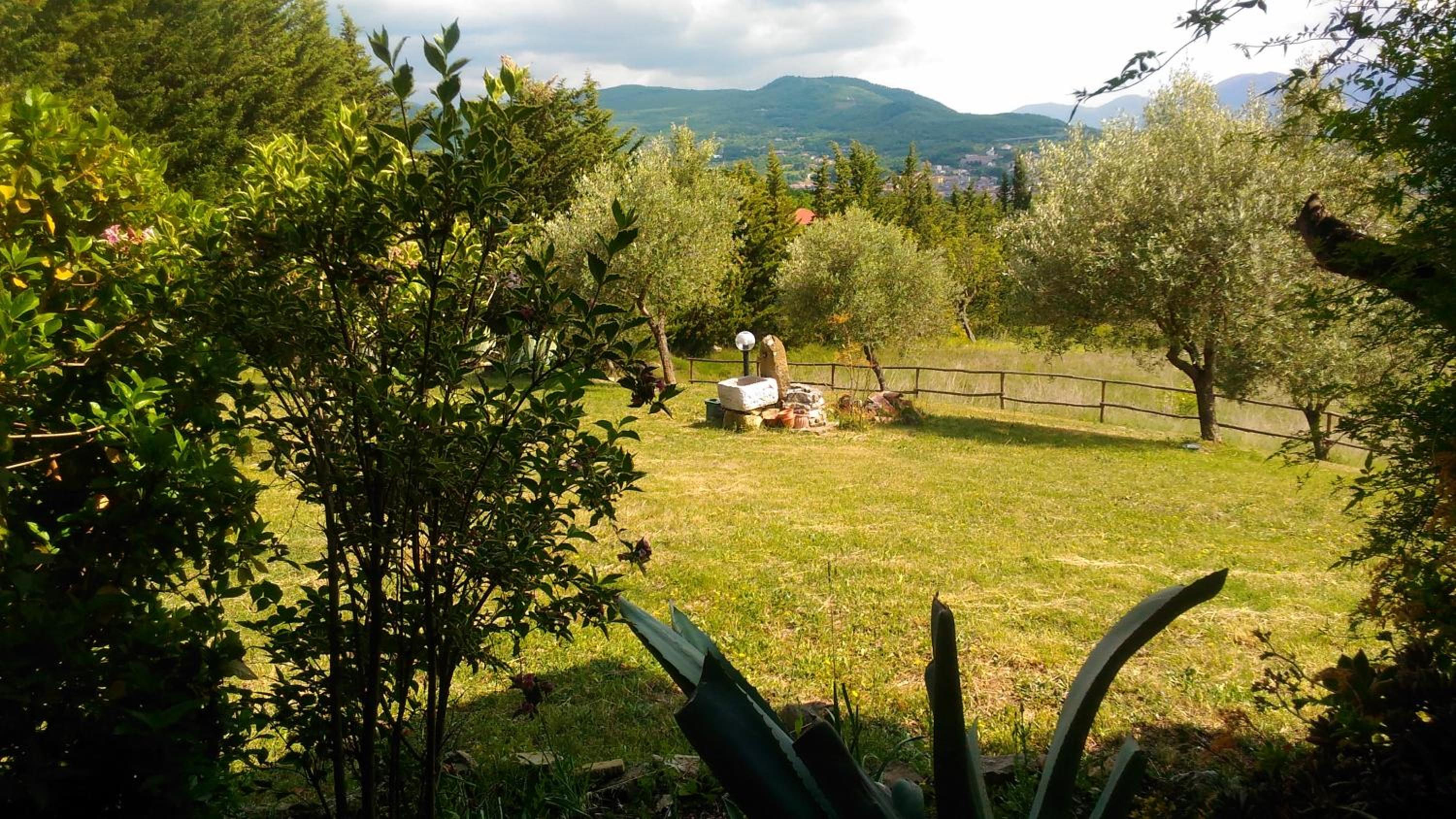 Photo 17
