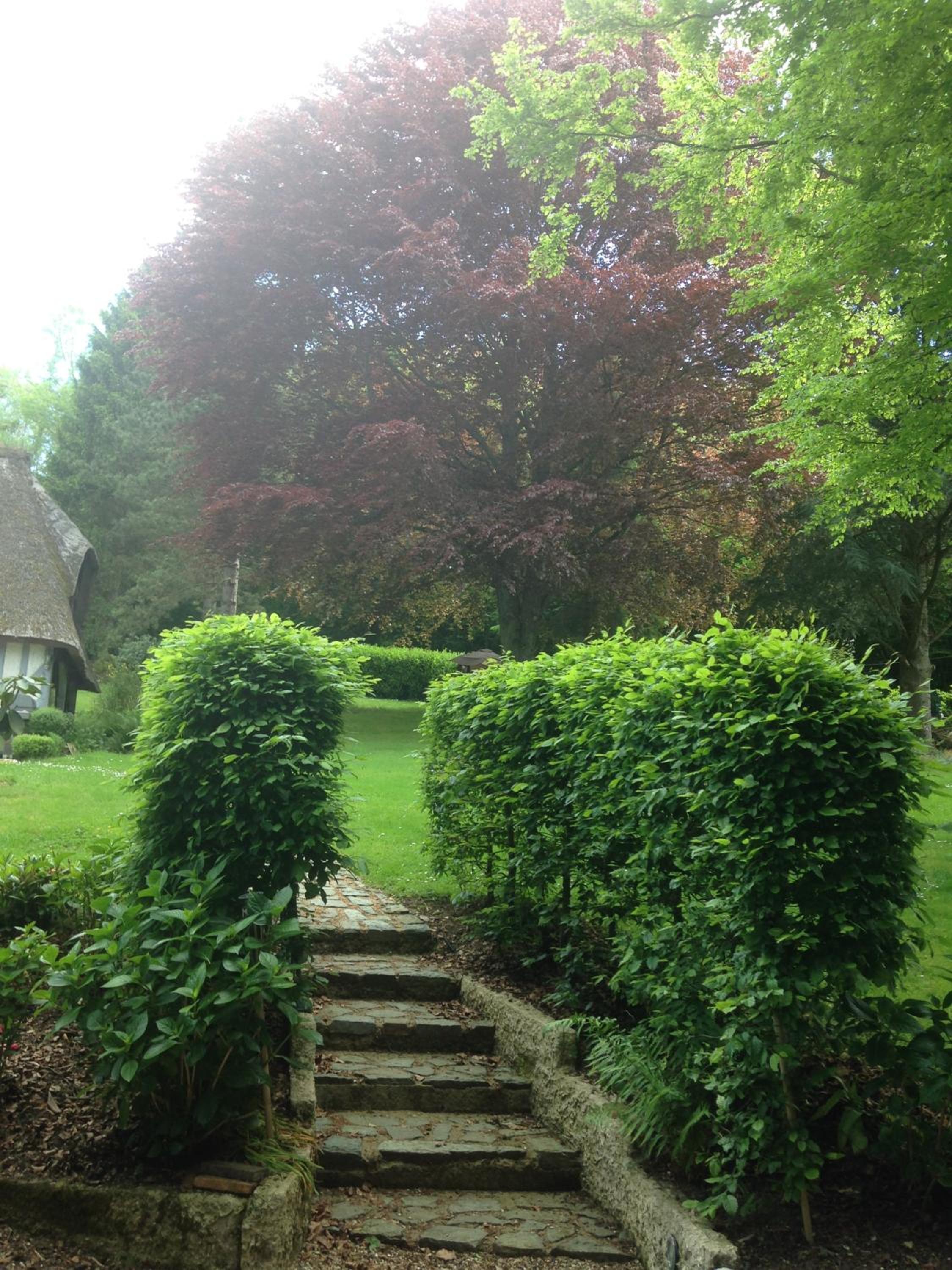 Photo 27