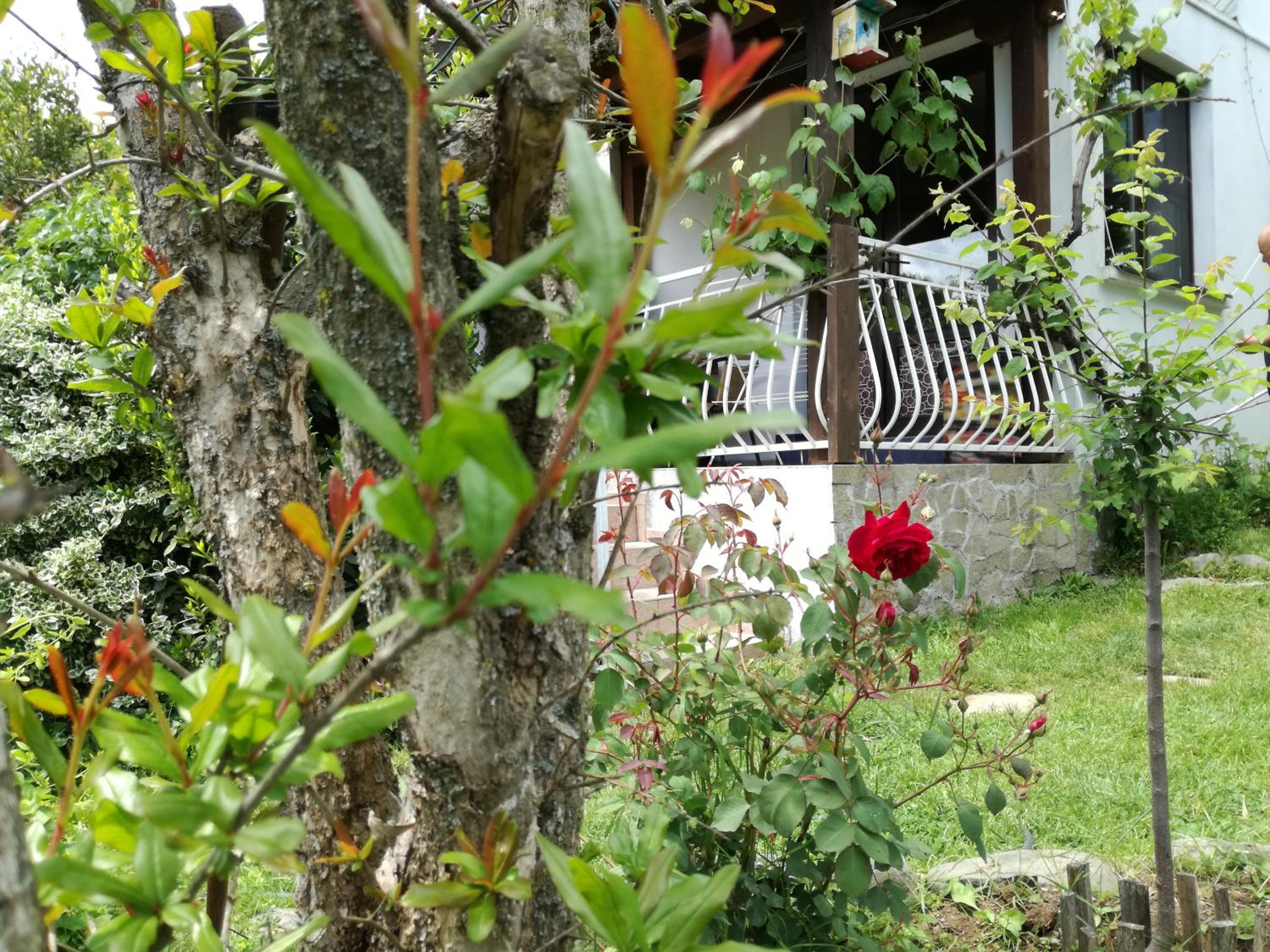 Guest House Fanny