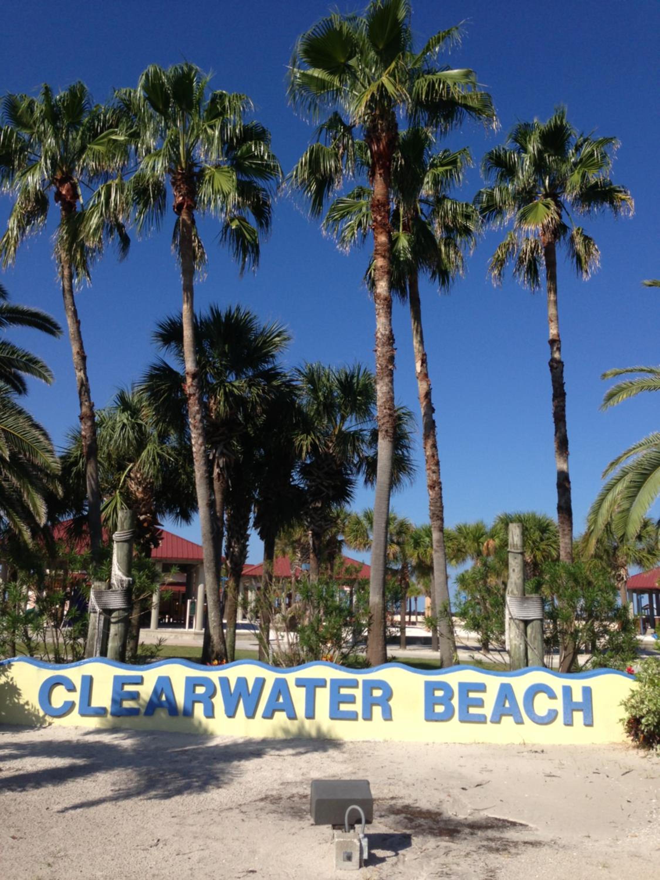 By the Beach Rentals