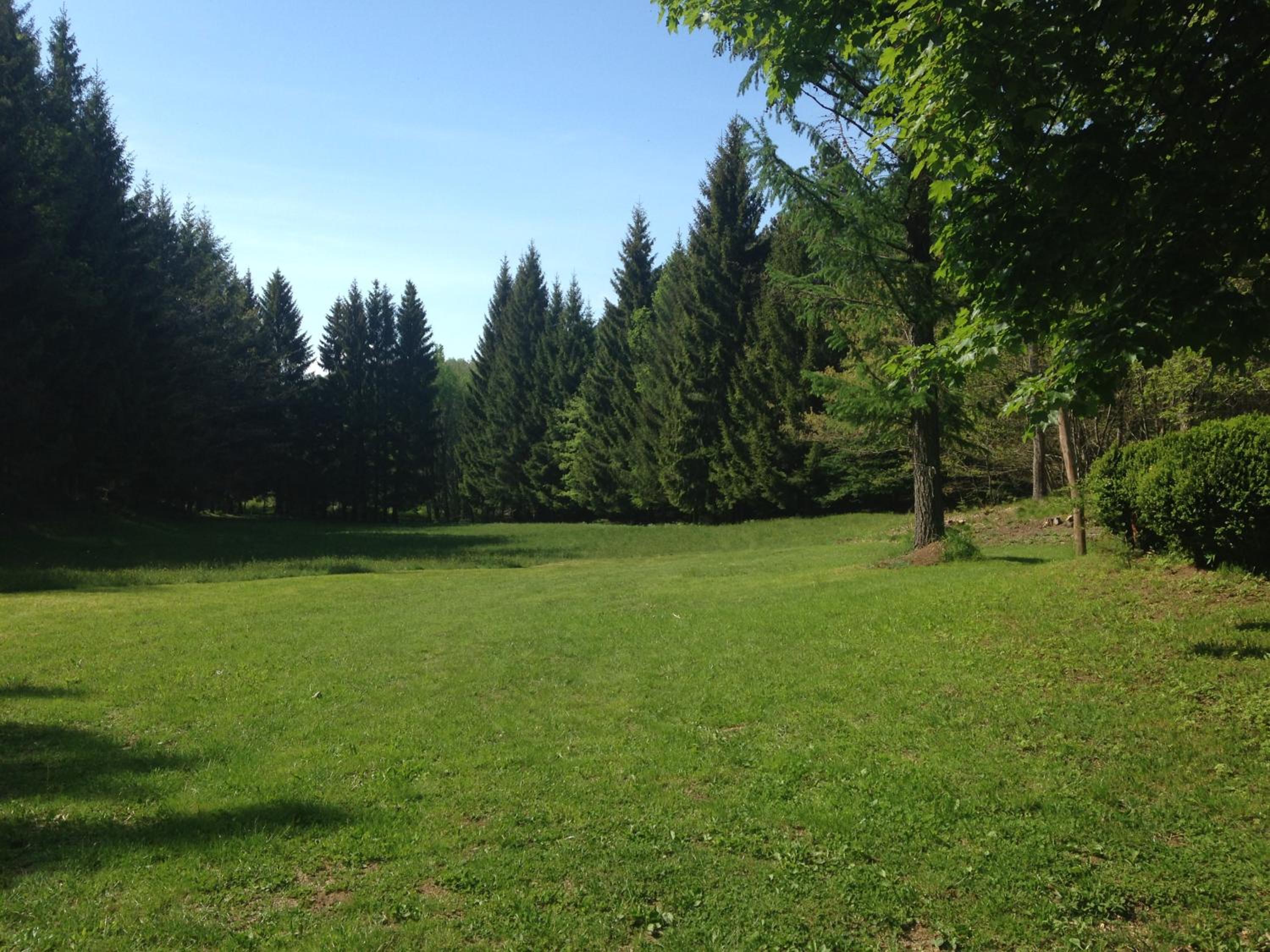 Agriturismo La Casa Nel Bosco view 3