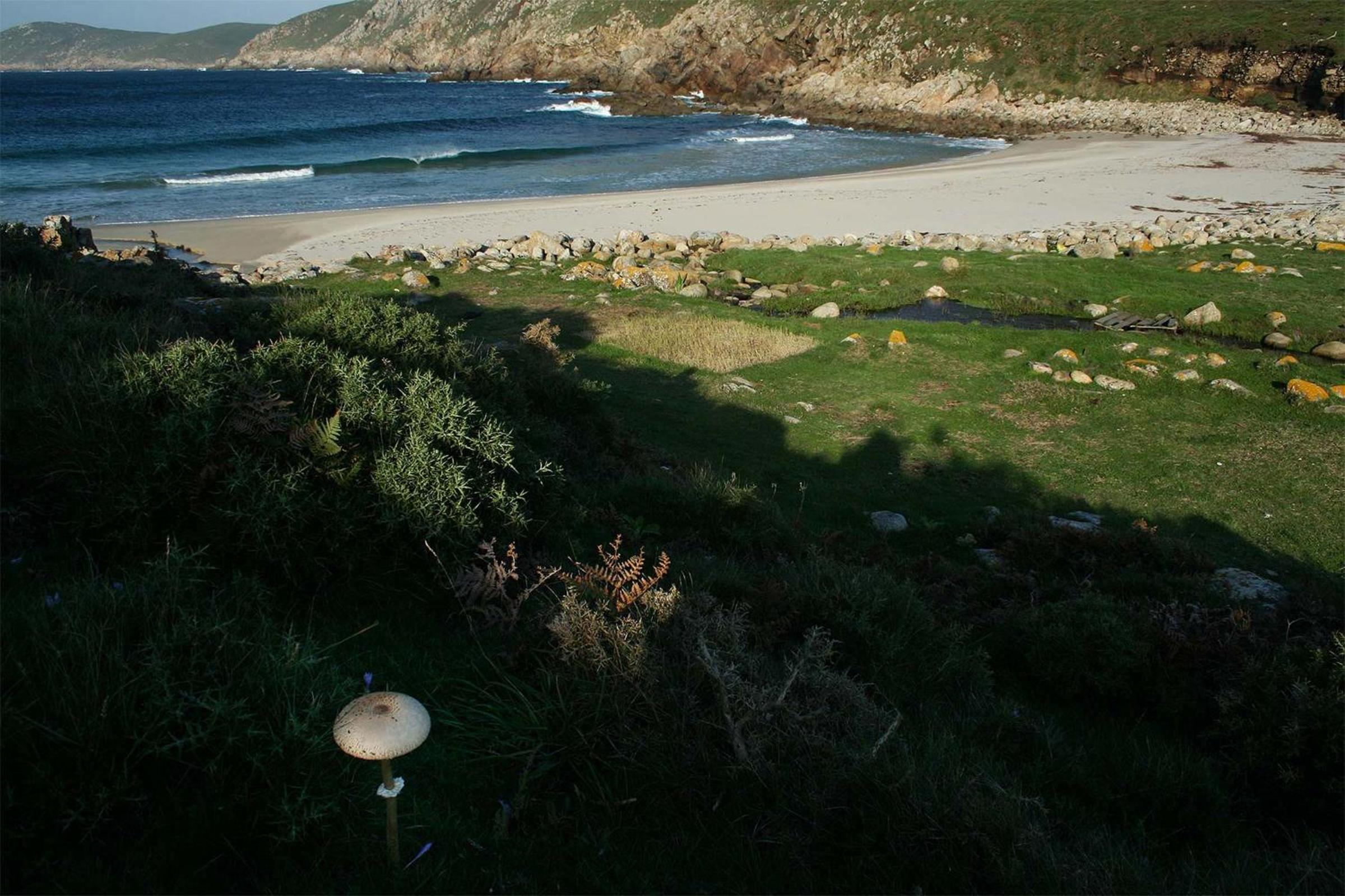Photo 22