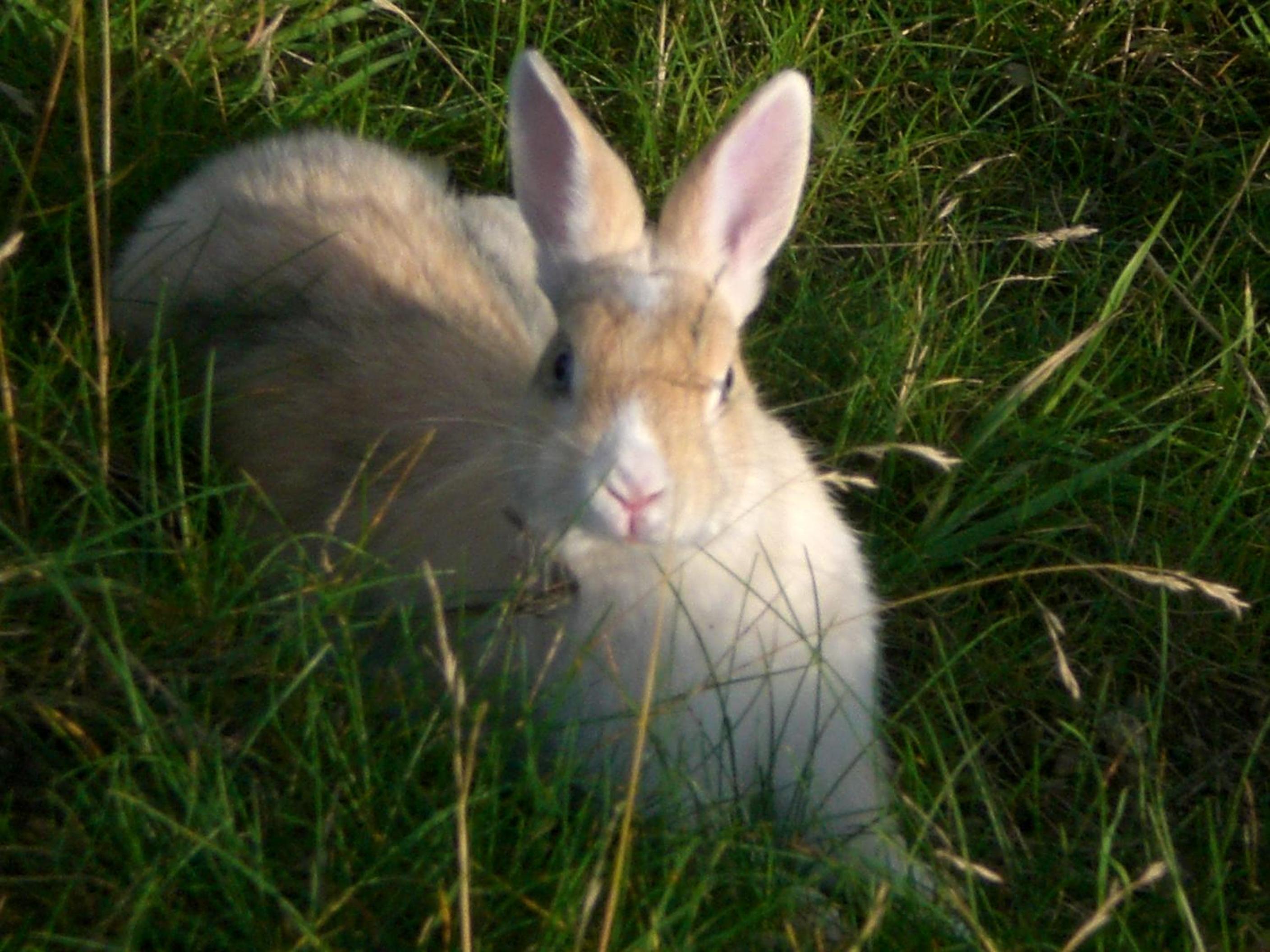 Photo 34