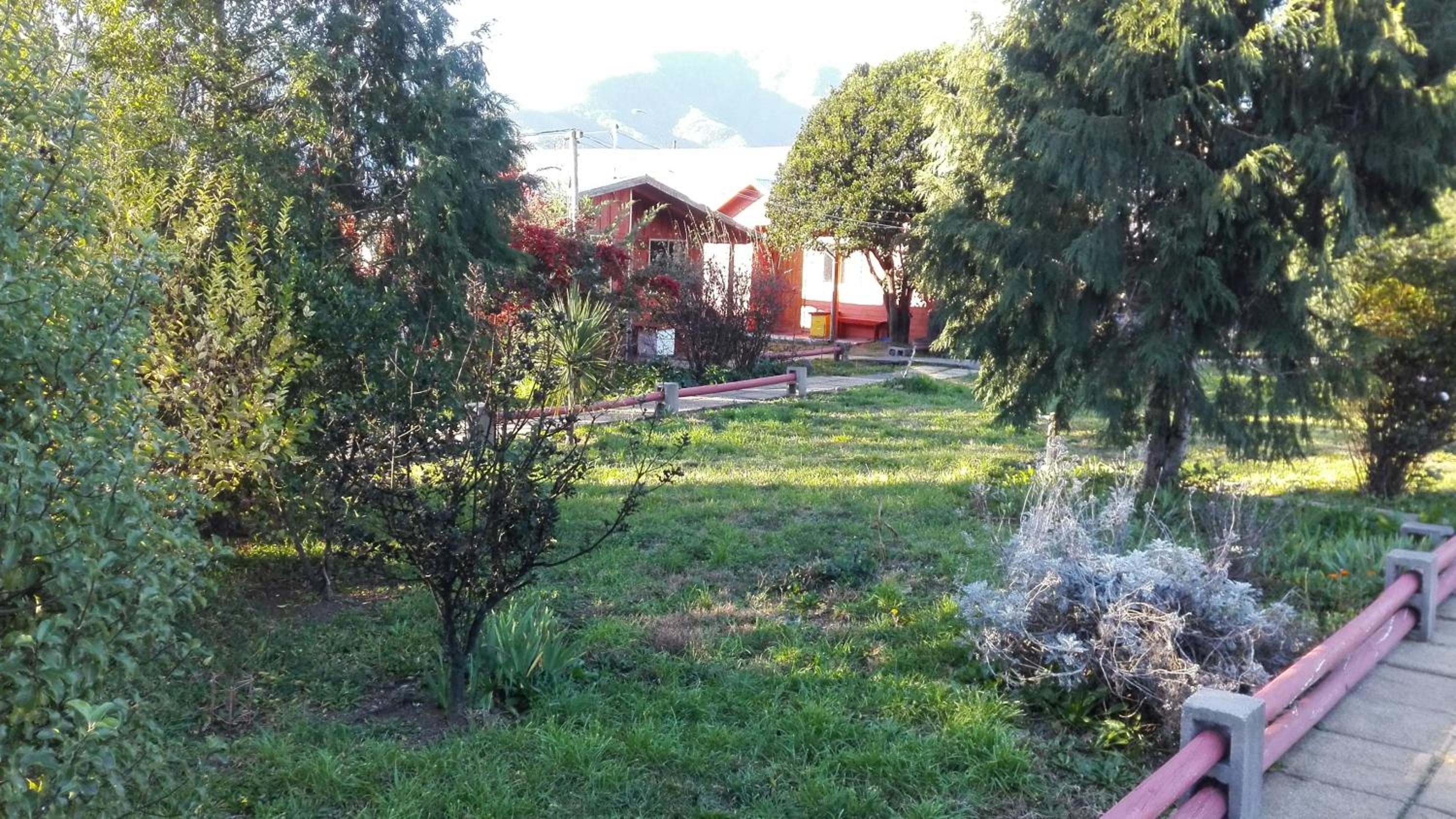 Puelche de Antuco view 3