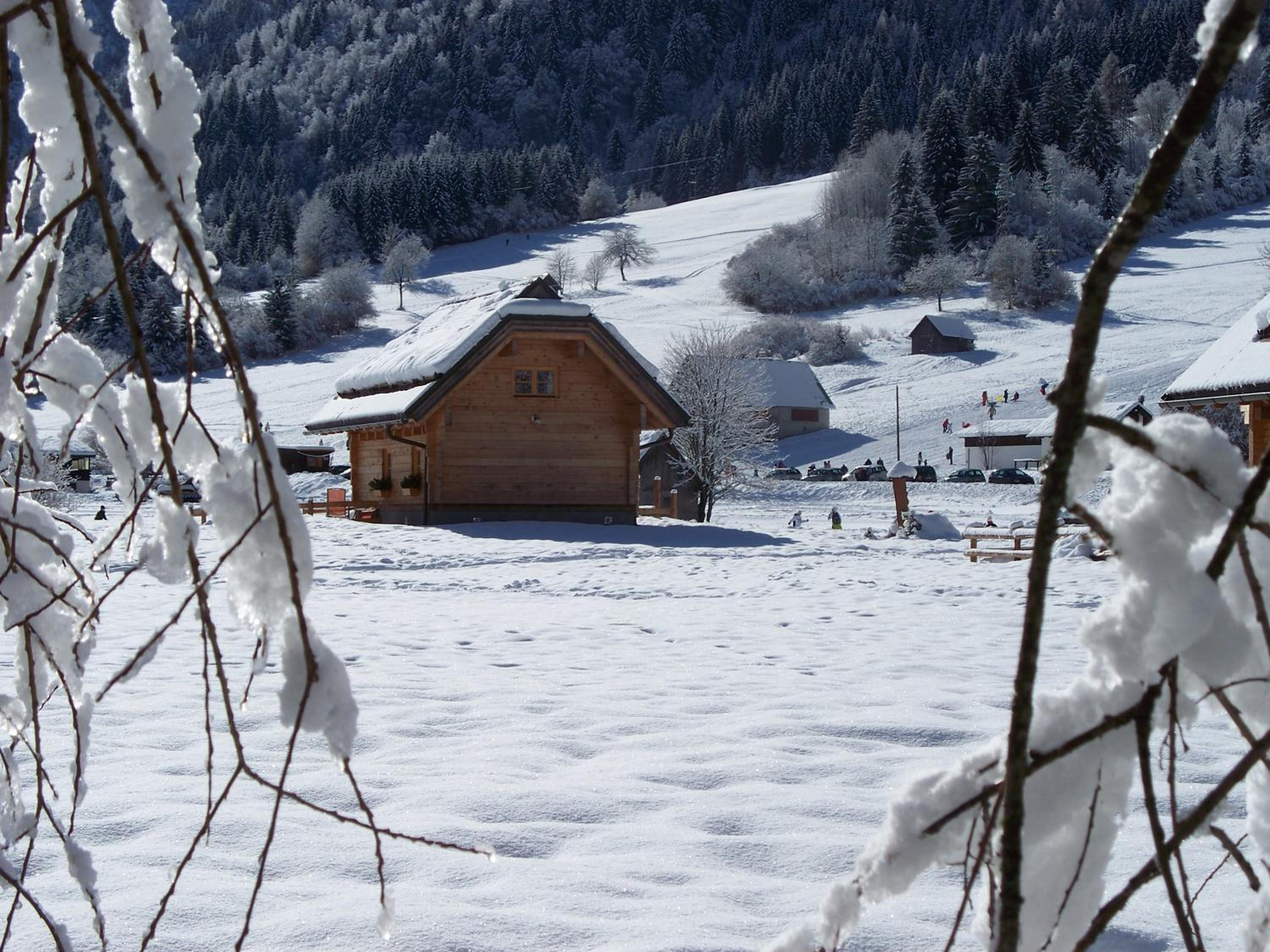 Photo 6