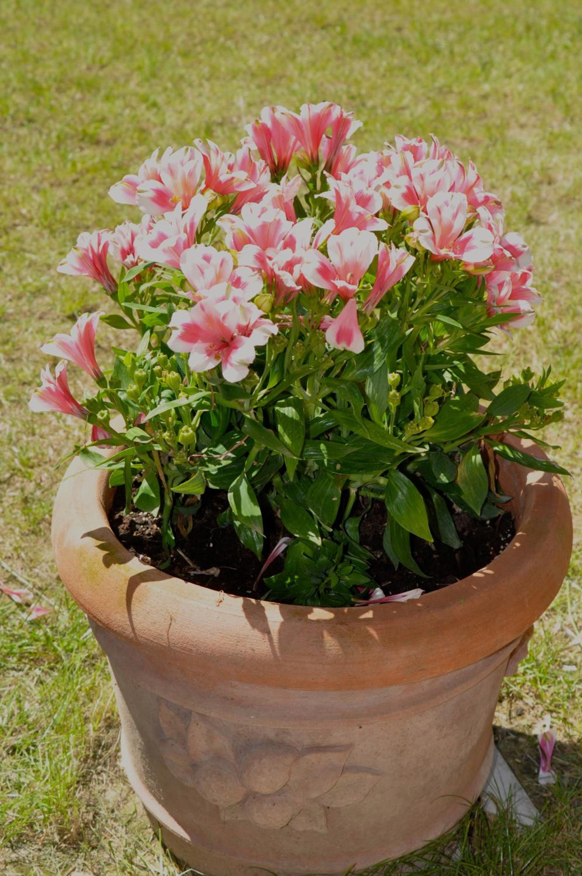 Photo 26
