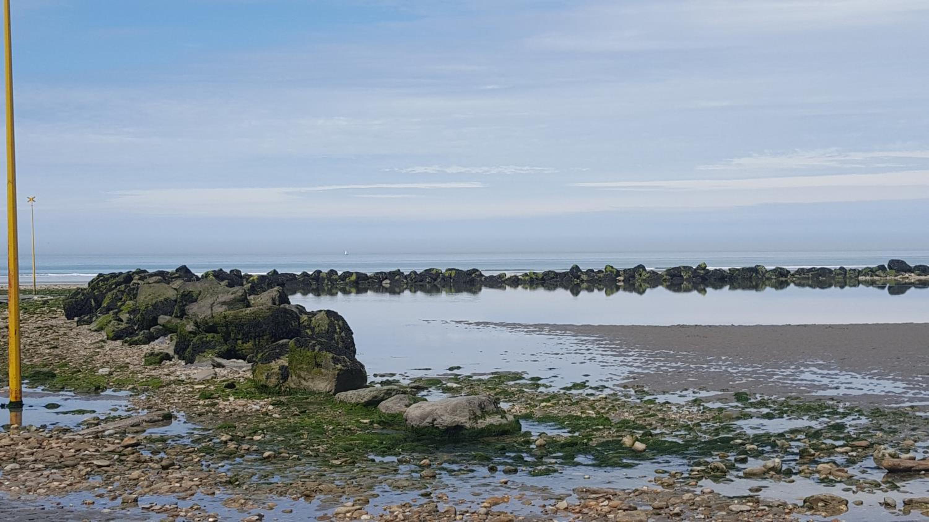 Alapause view 5