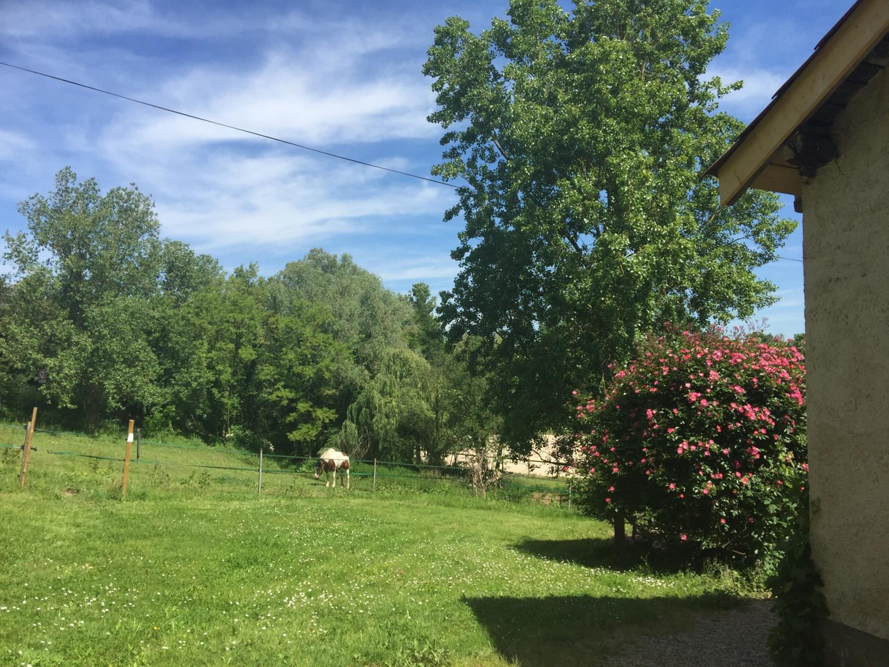 Photo 35