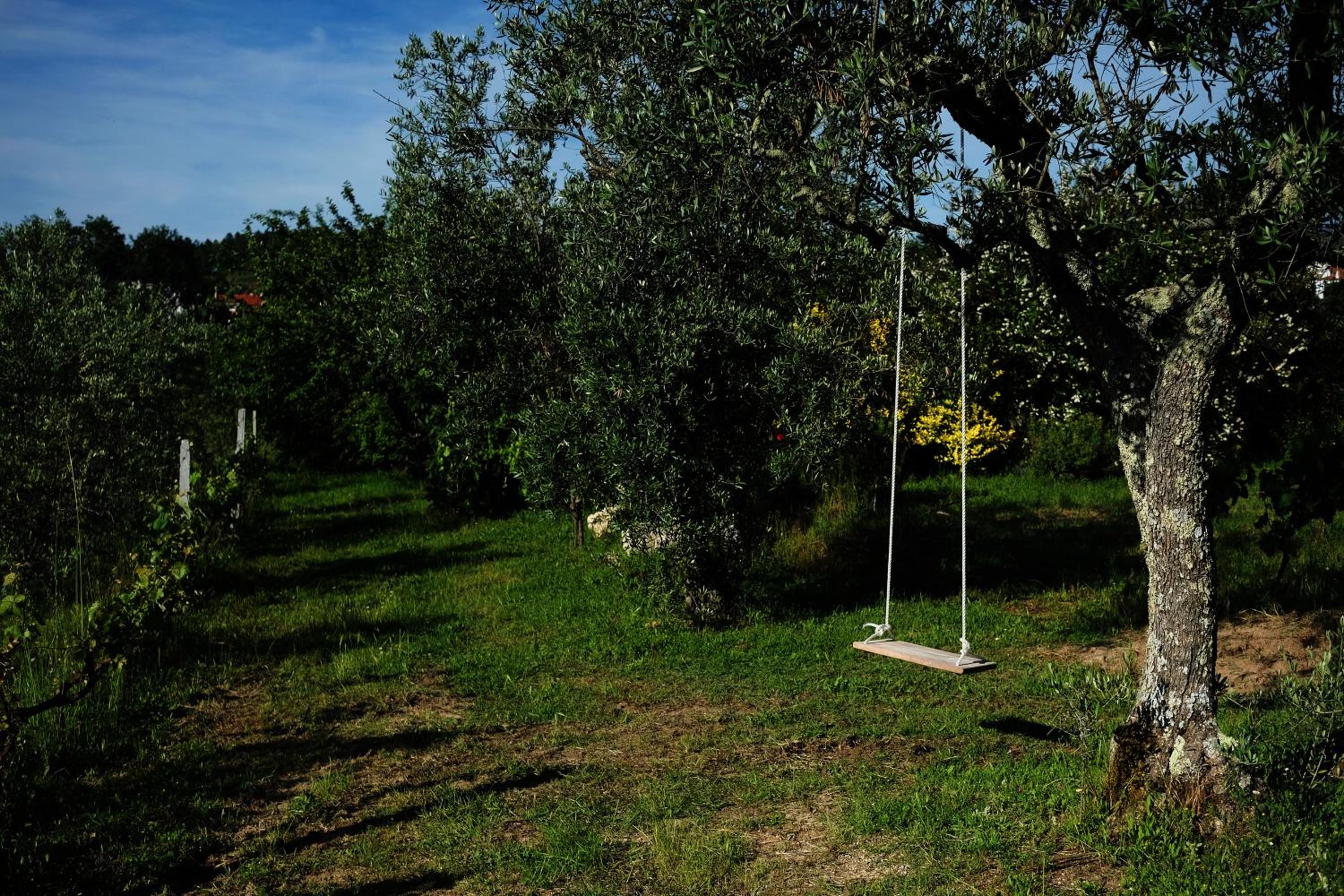Photo 32
