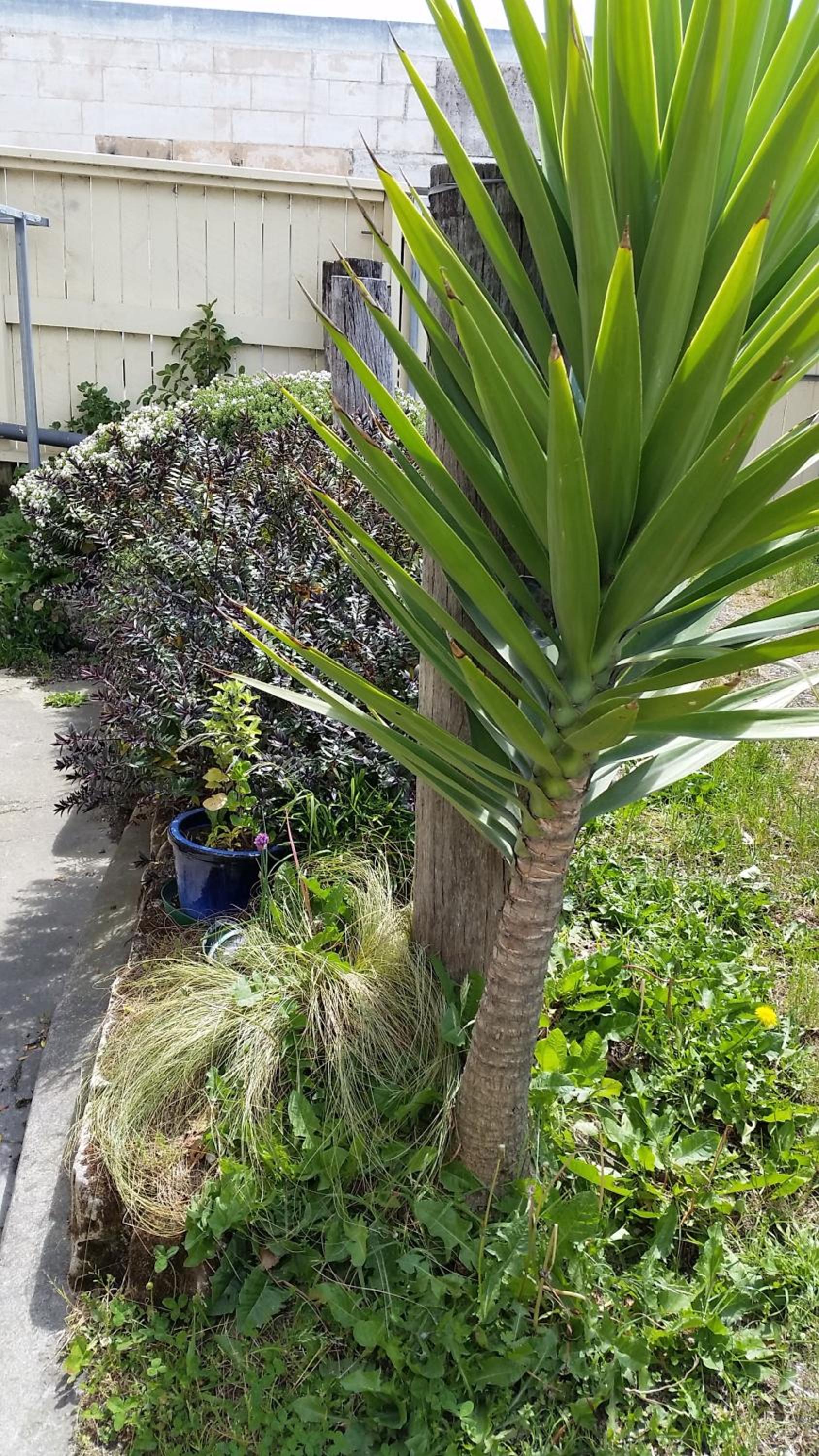 Photo 47