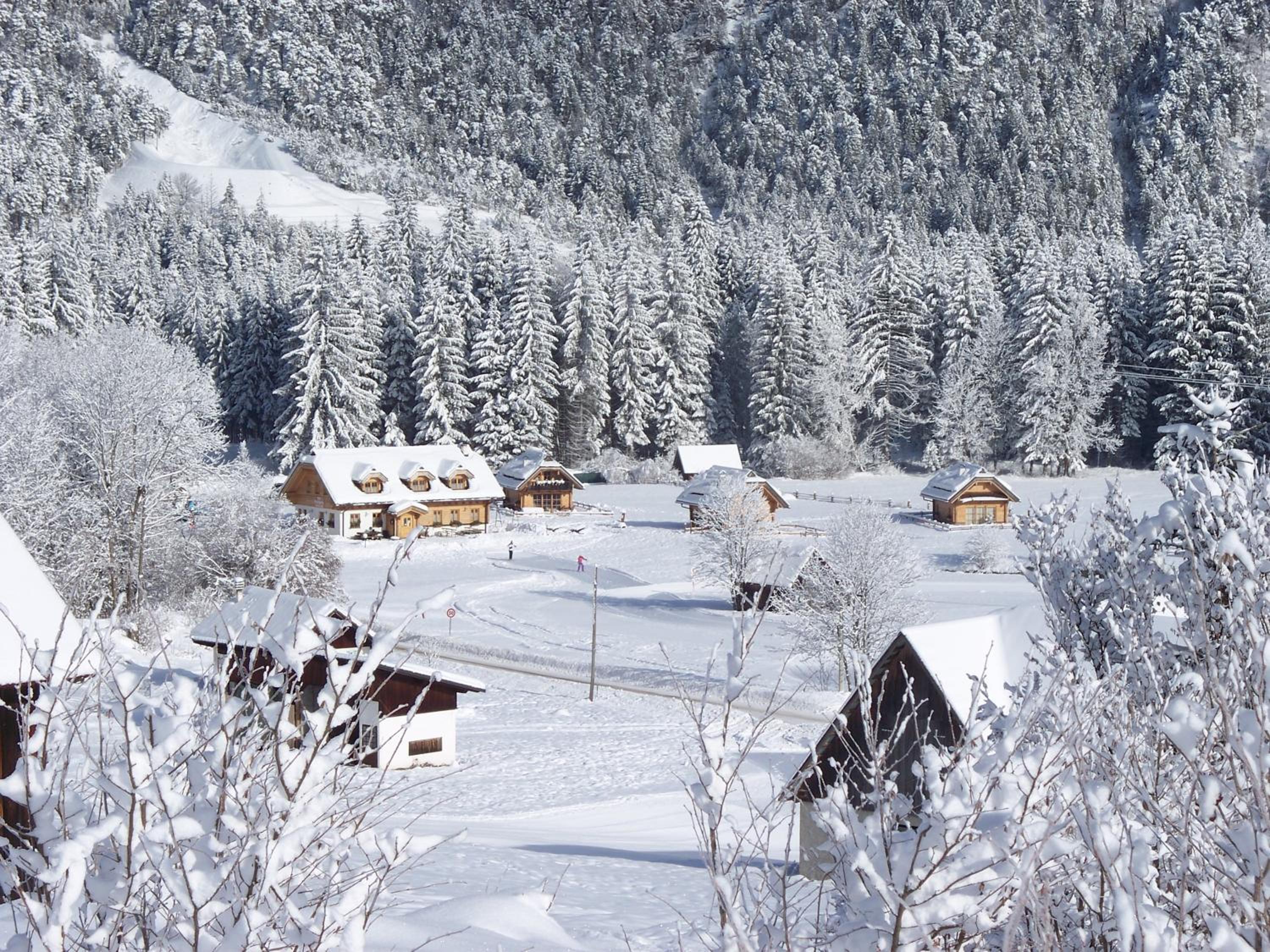Alpi Giulie Chalets view 4