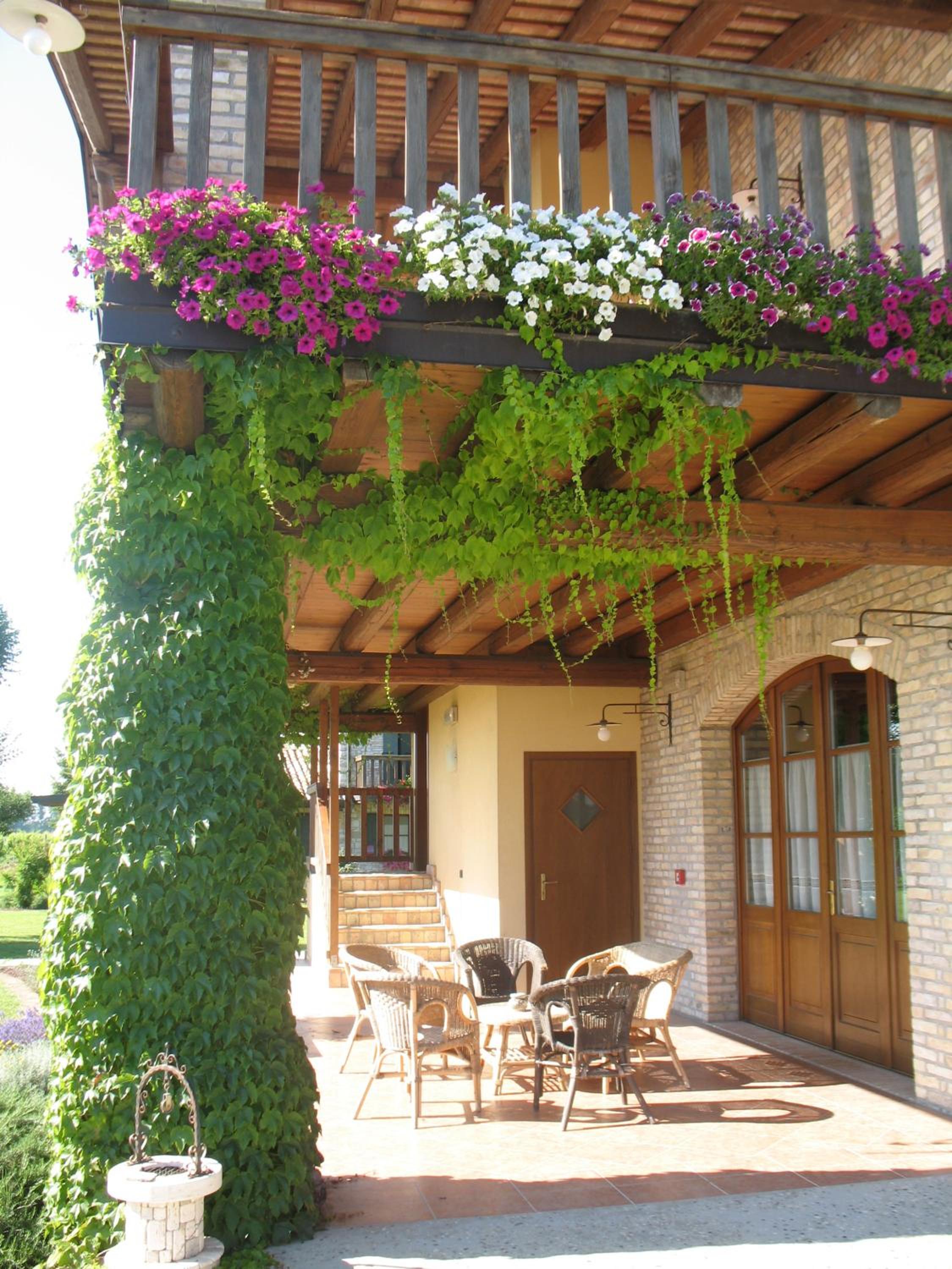 Agriturismo Albafiorita
