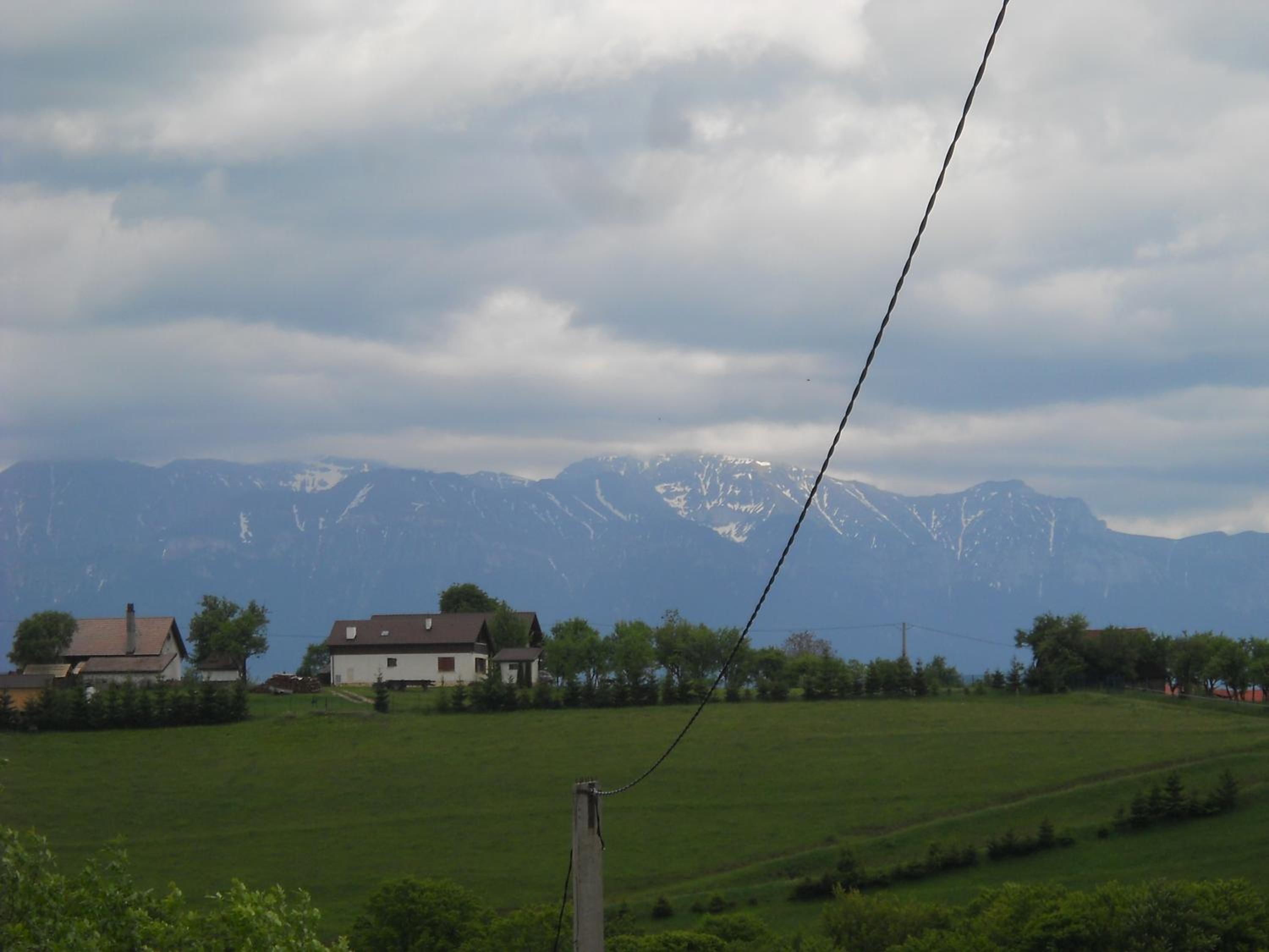 Photo 50