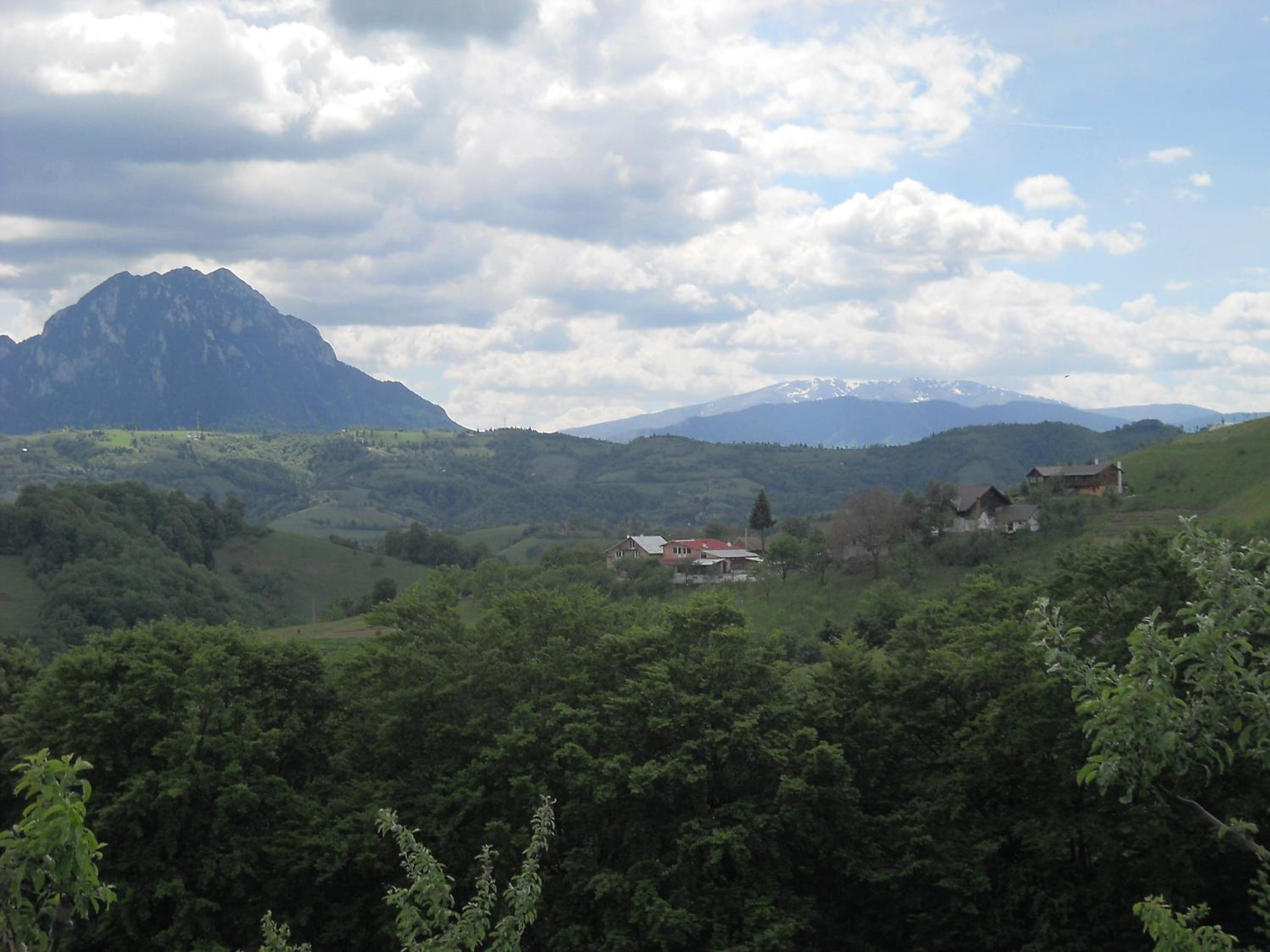 Photo 48