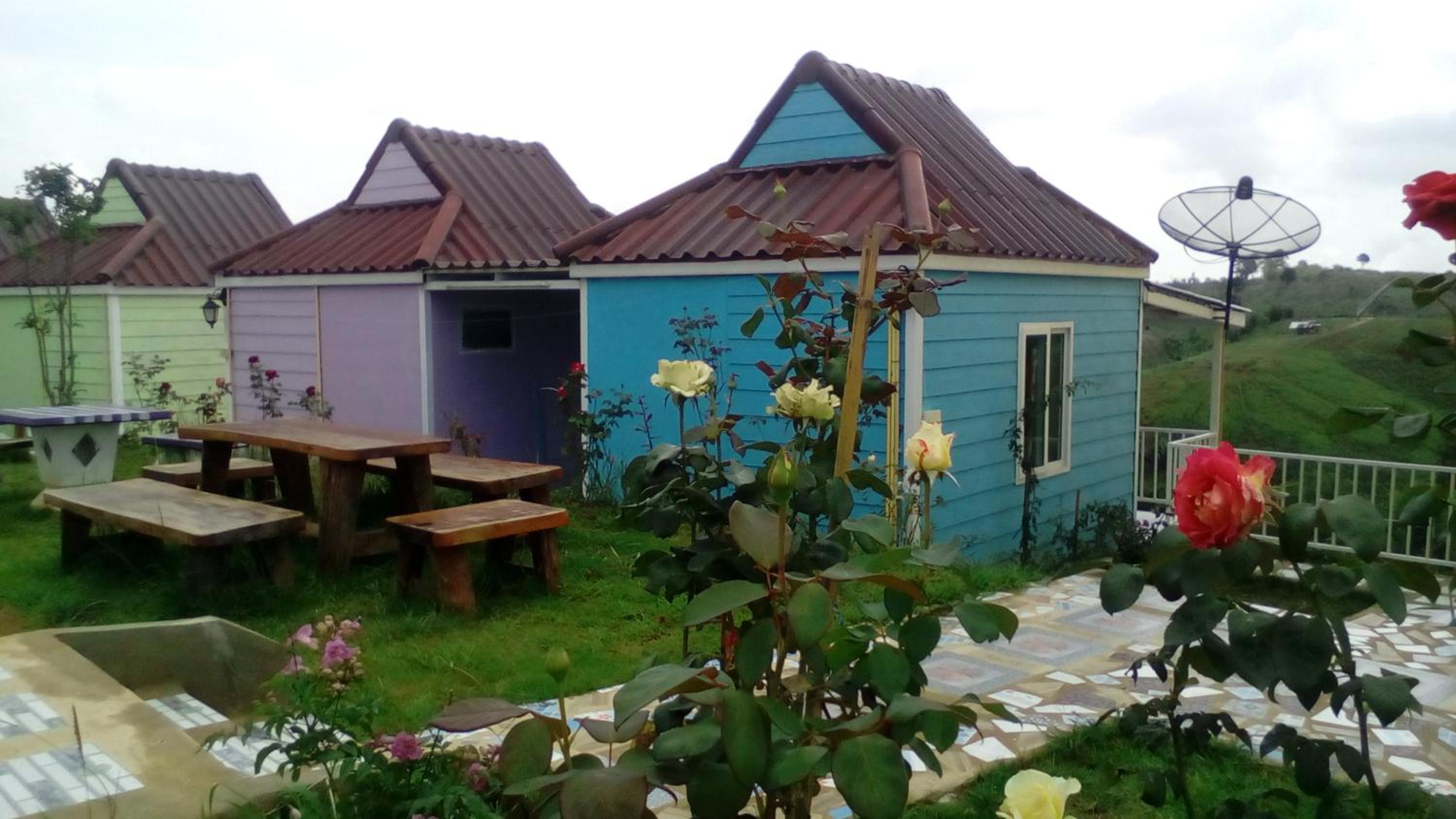Lovely Farm