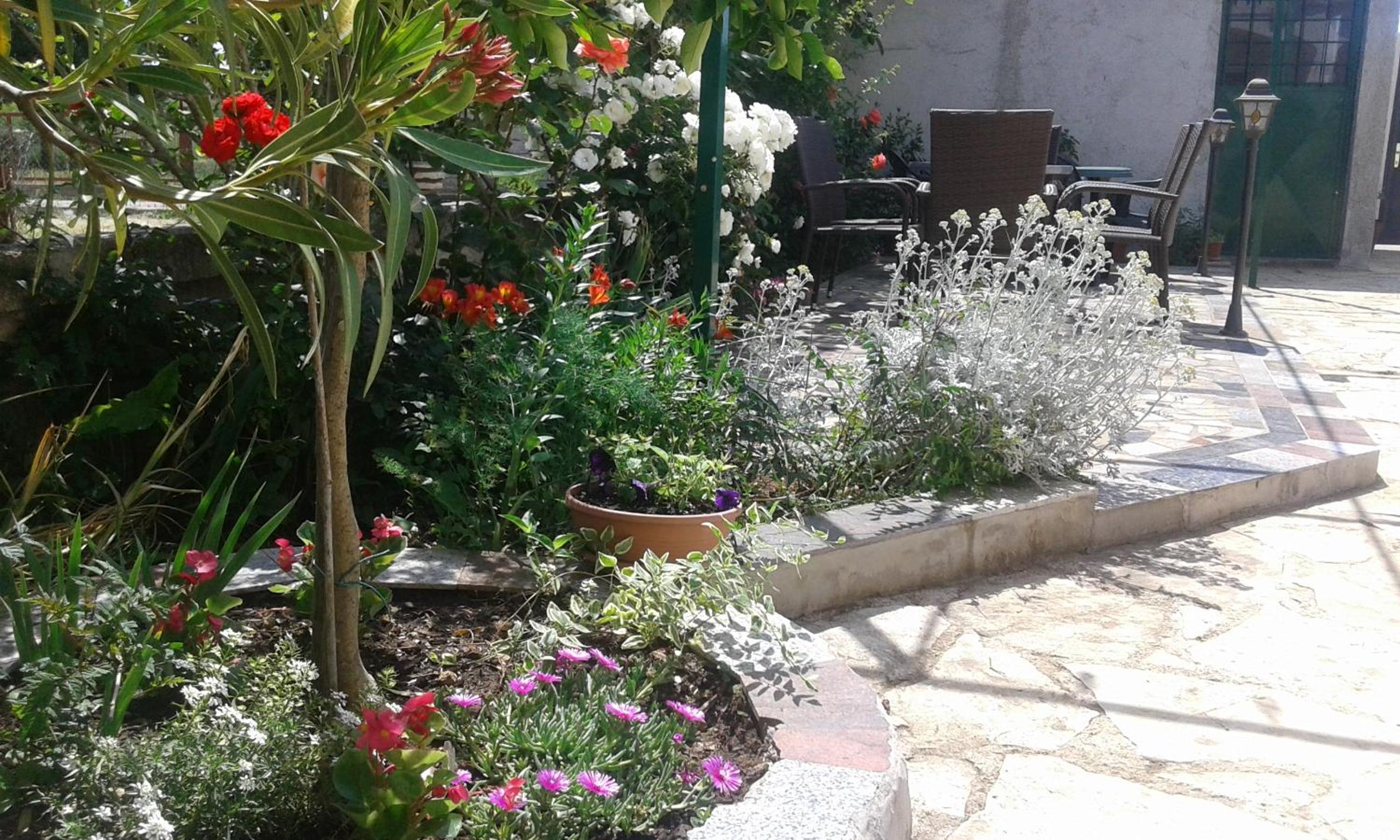 Photo 27