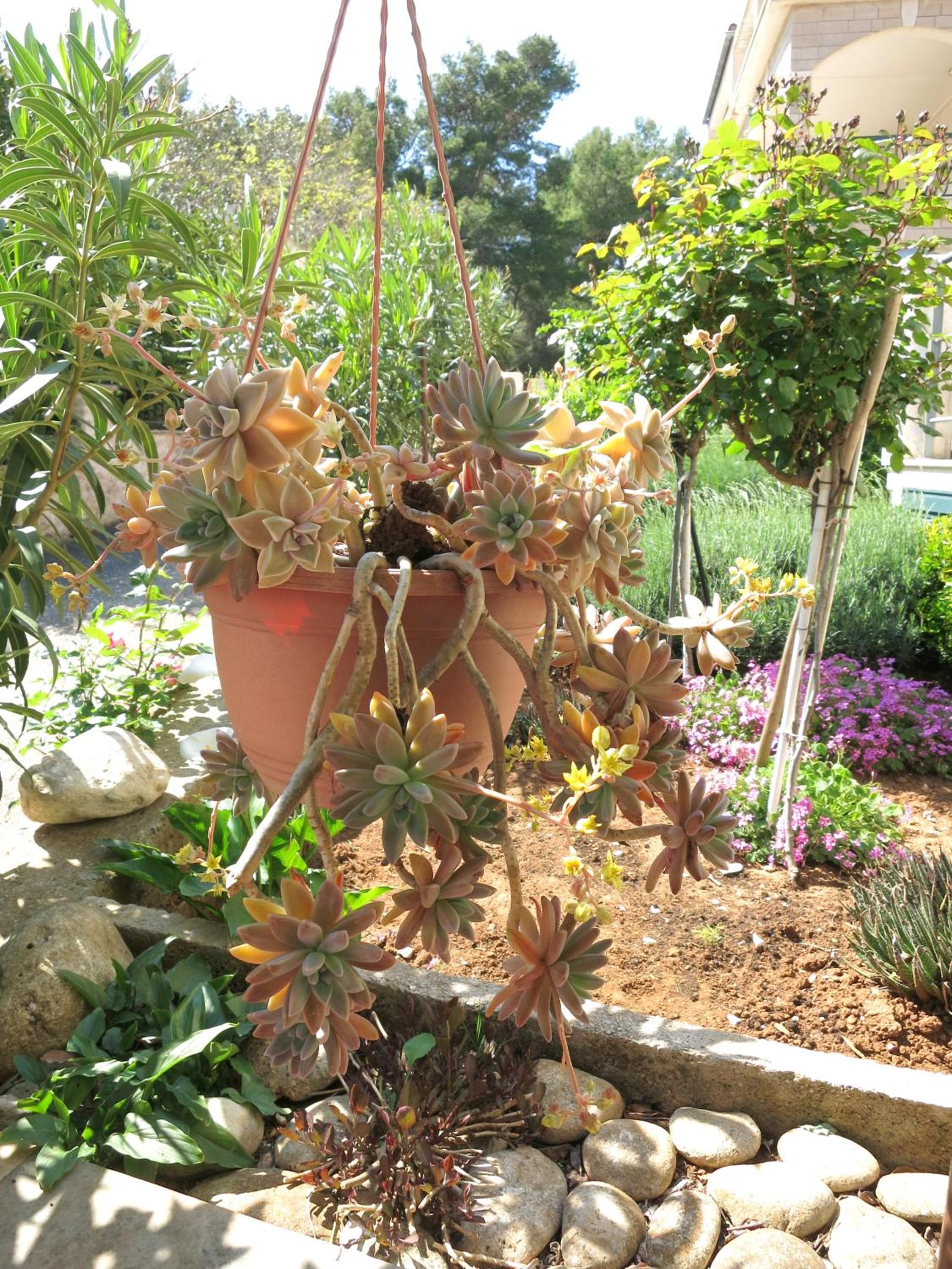 Photo 49