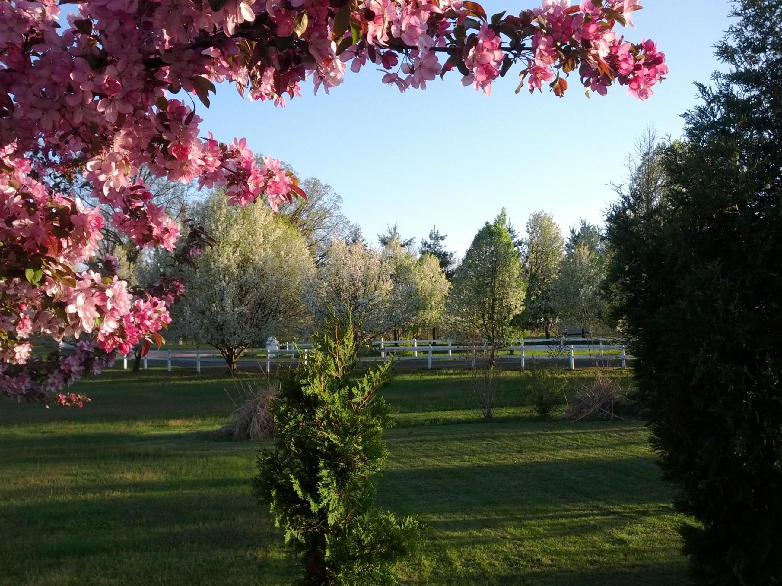 Brook Pointe Resort