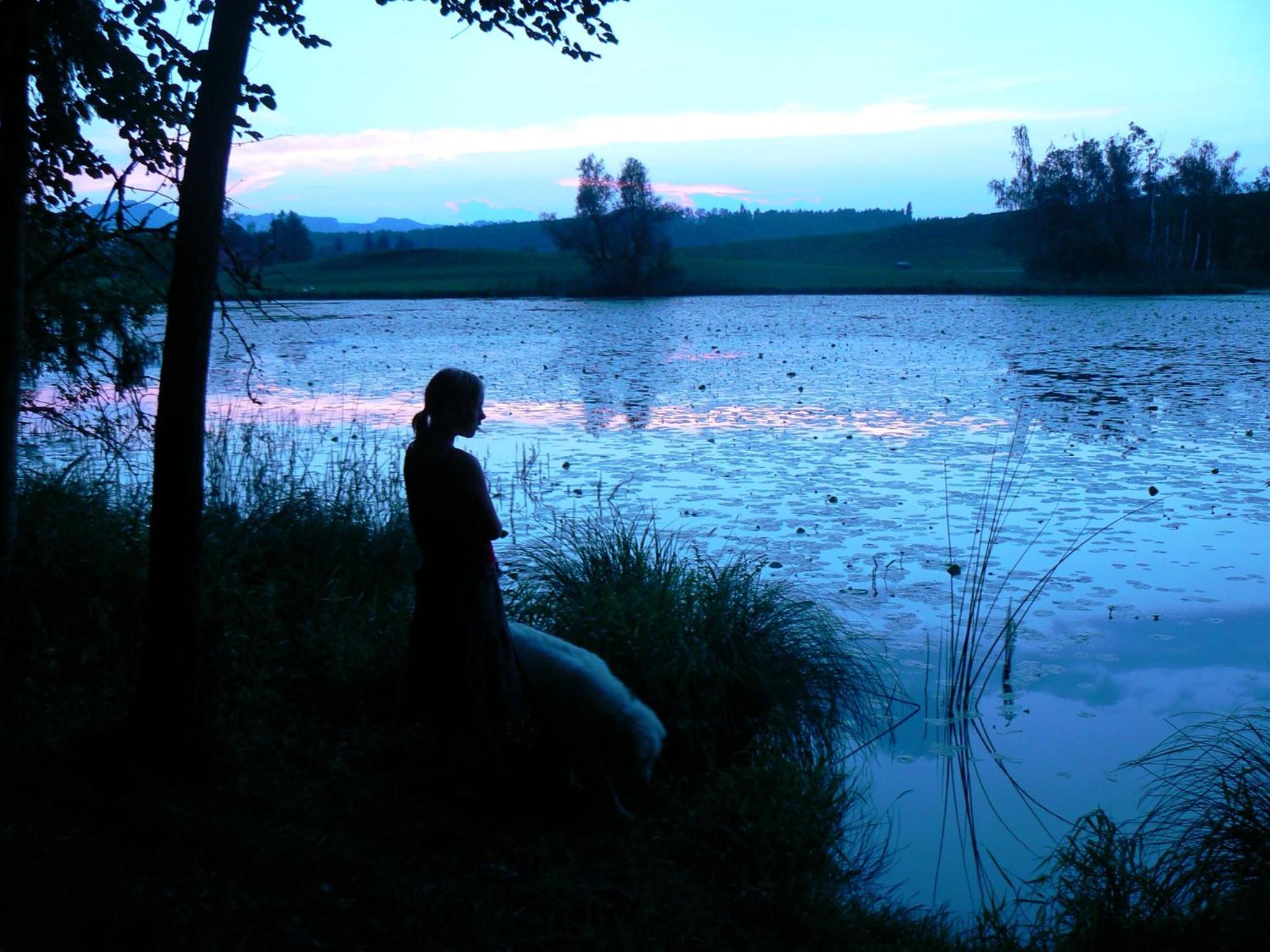 Photo 25