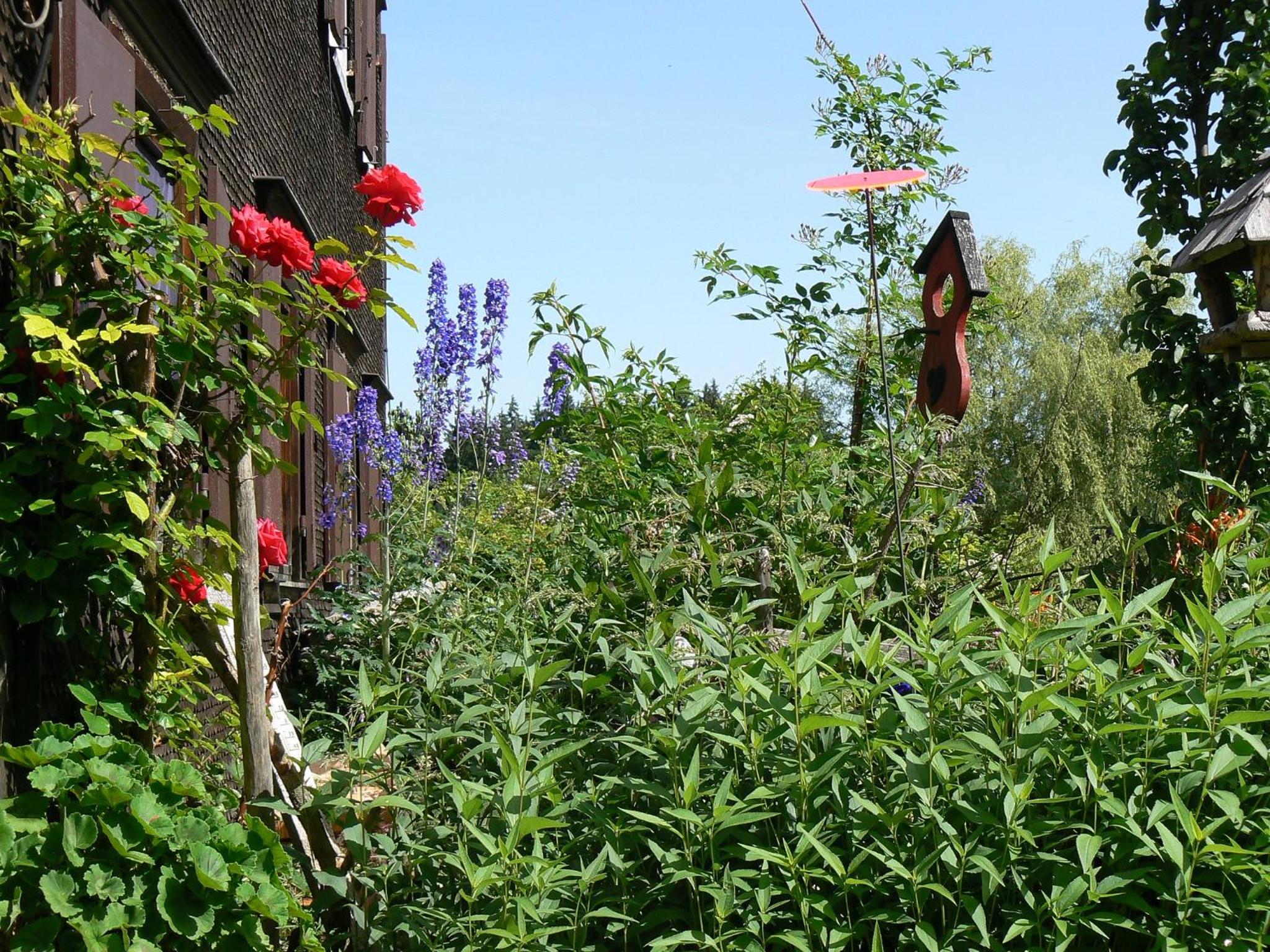 Photo 29