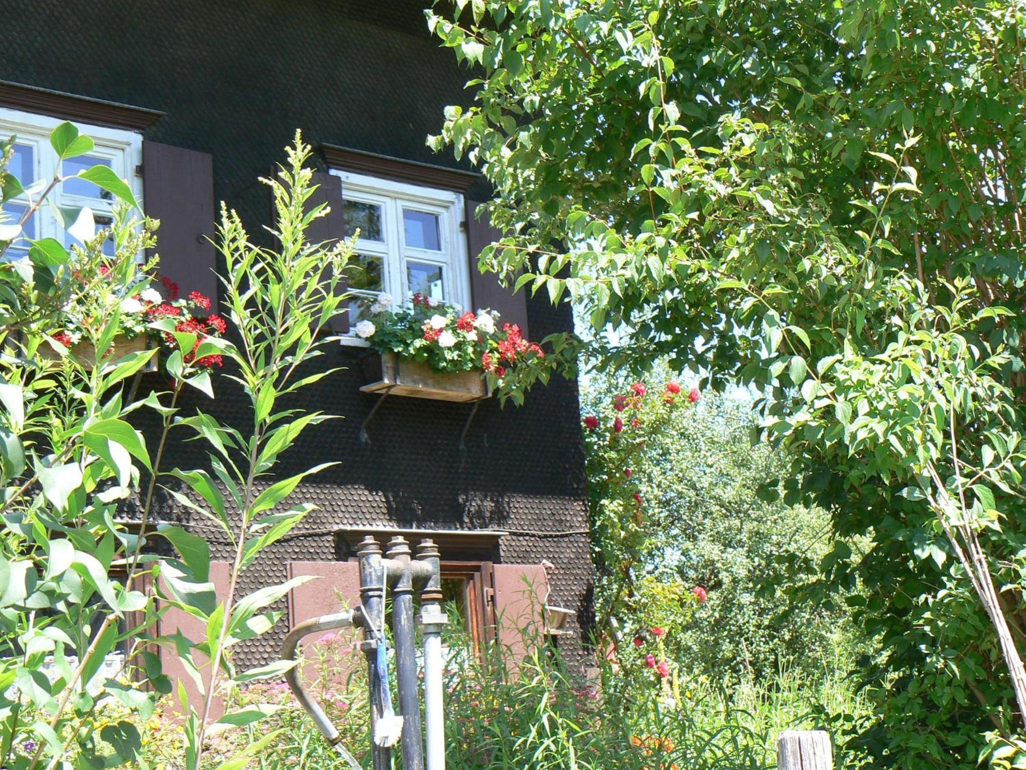 Photo 45