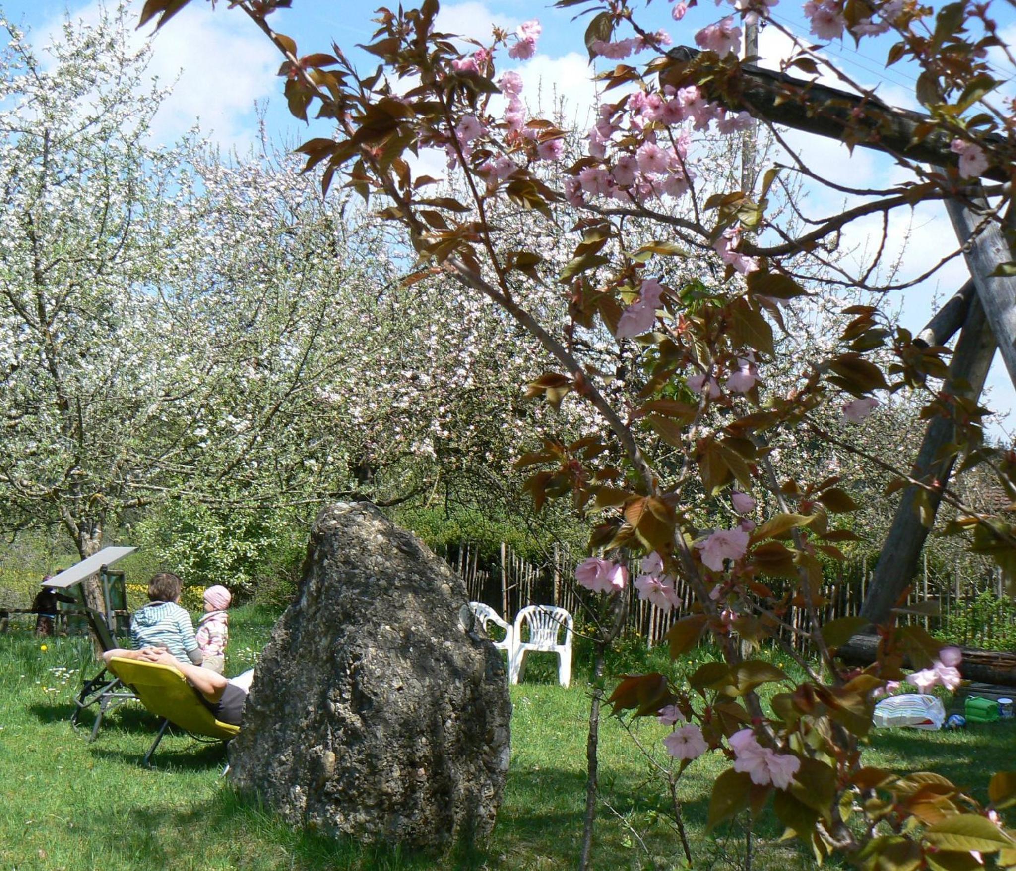 Photo 47