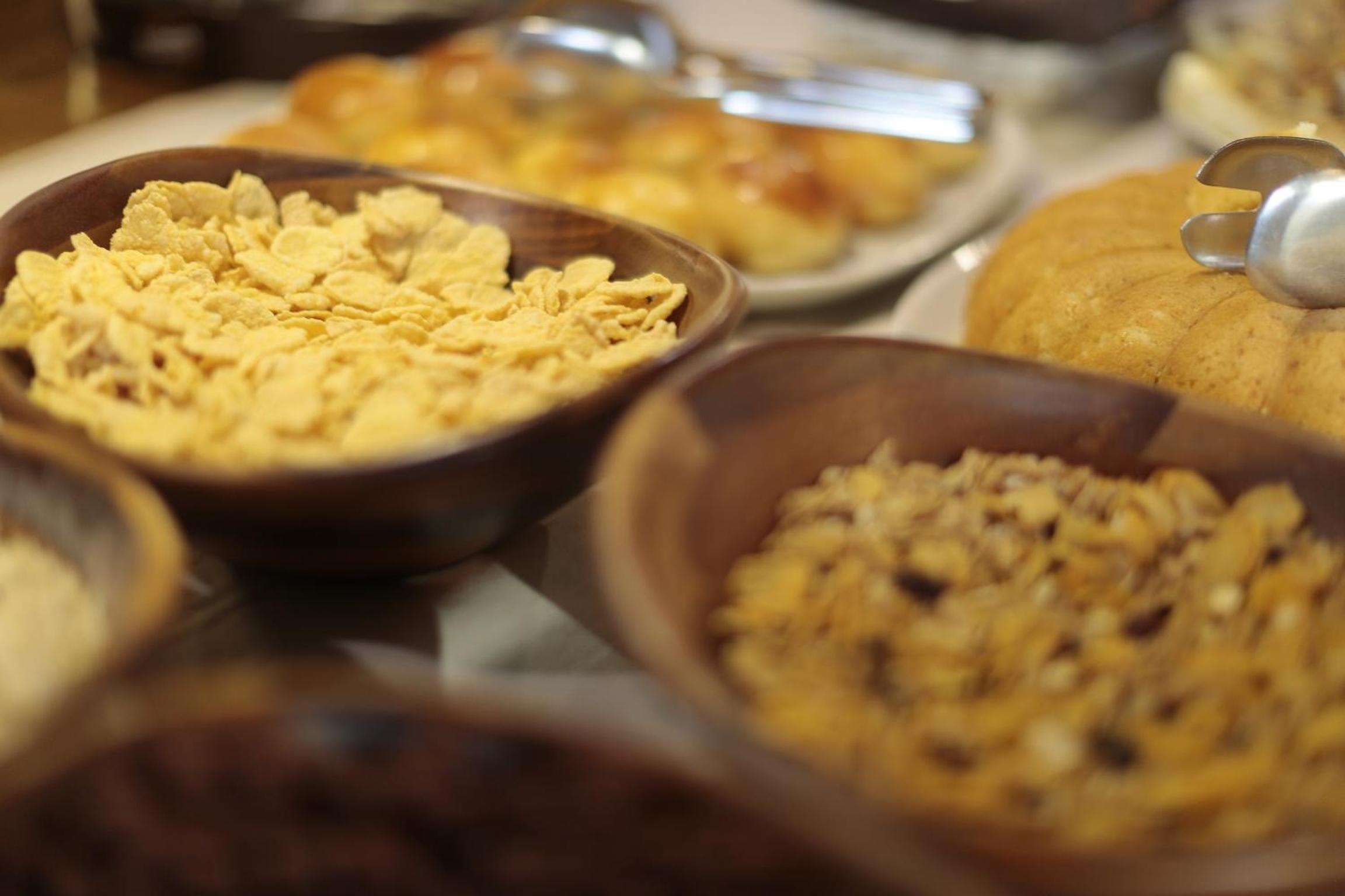 Shoestring Cave House - Image 19