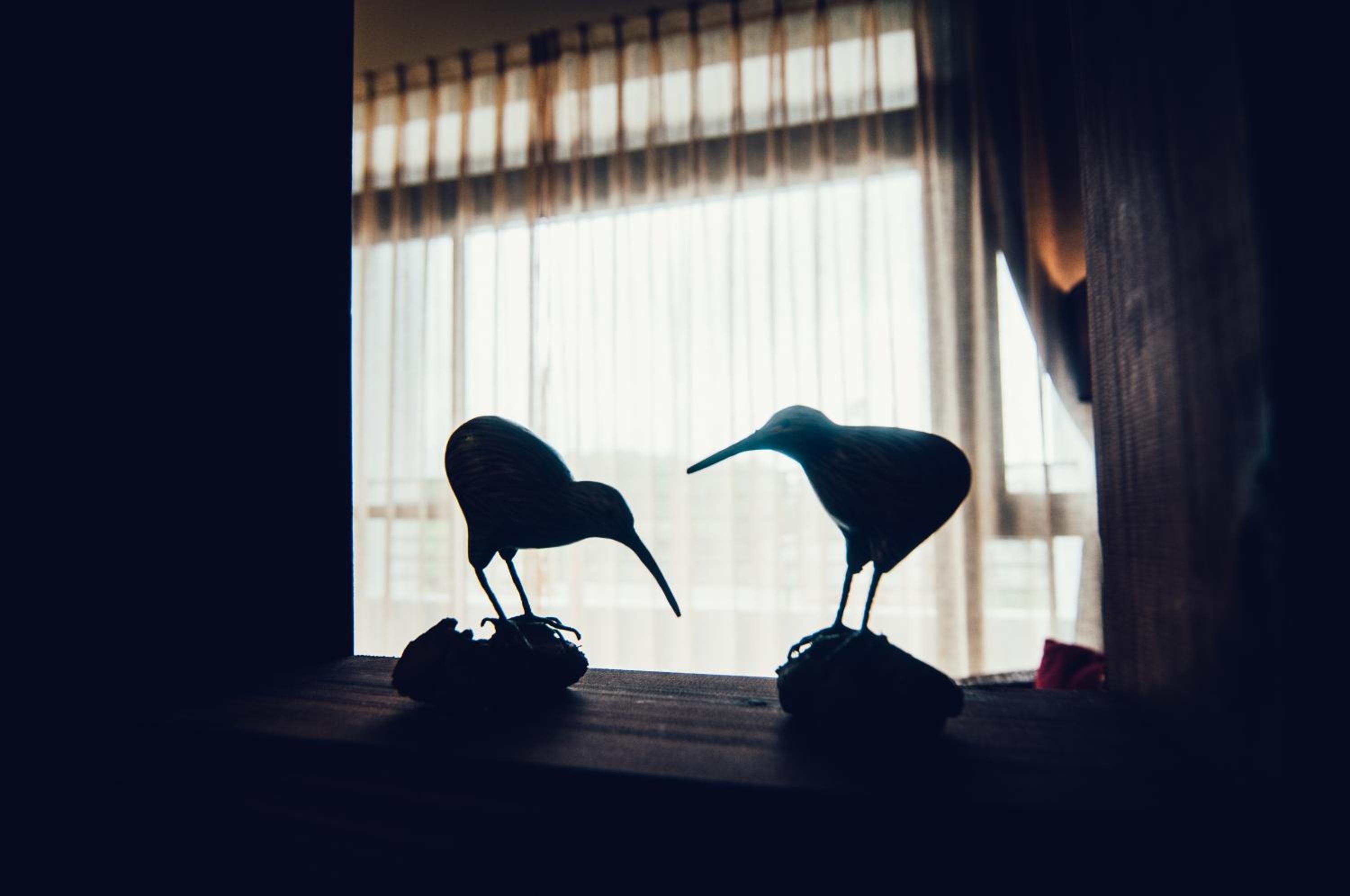 Zai Yan Yan 259 B&B