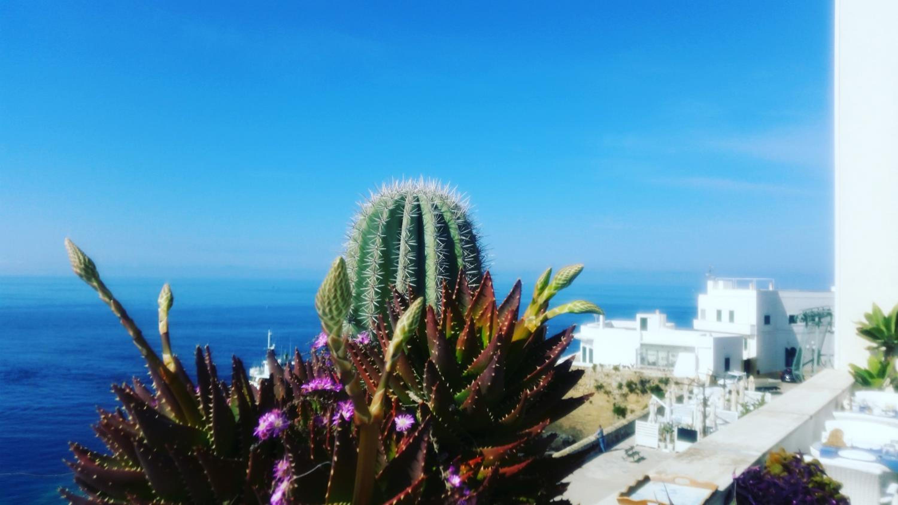 B&B Punta Cutieri
