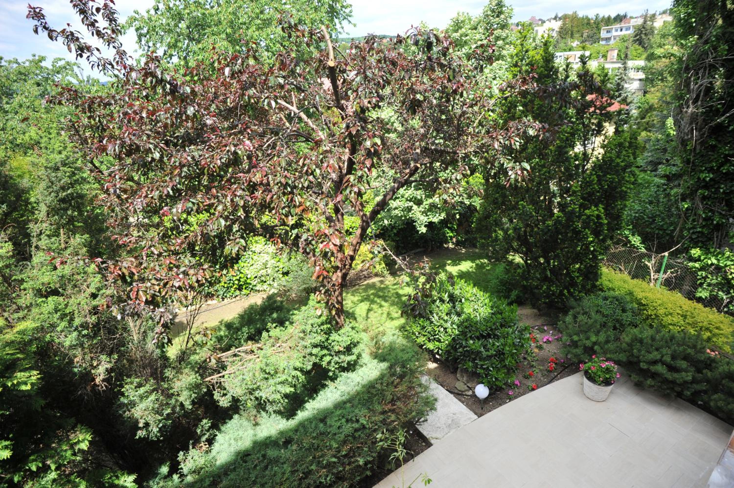 Hillside Premium Apartments