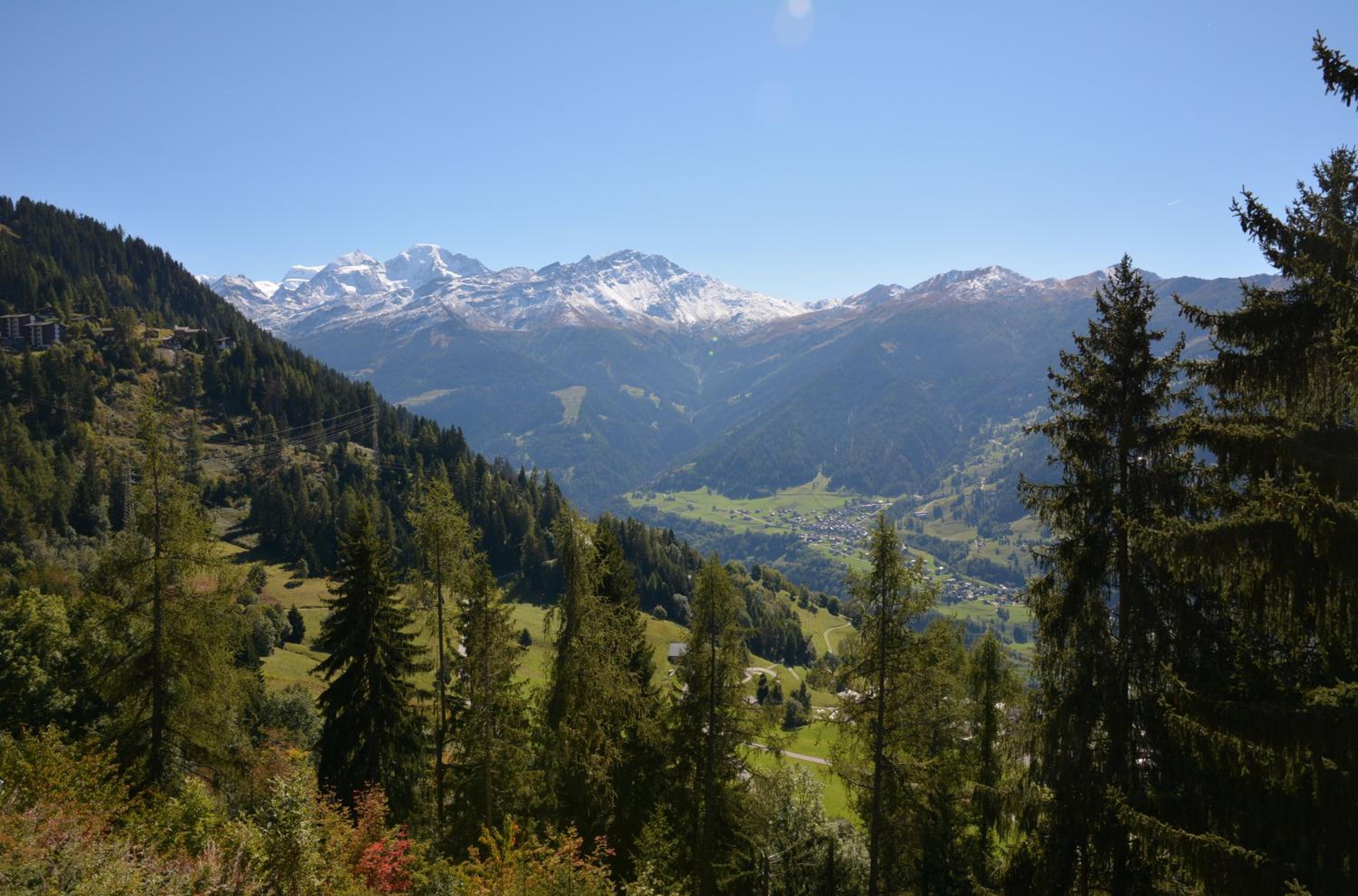 Photo 6