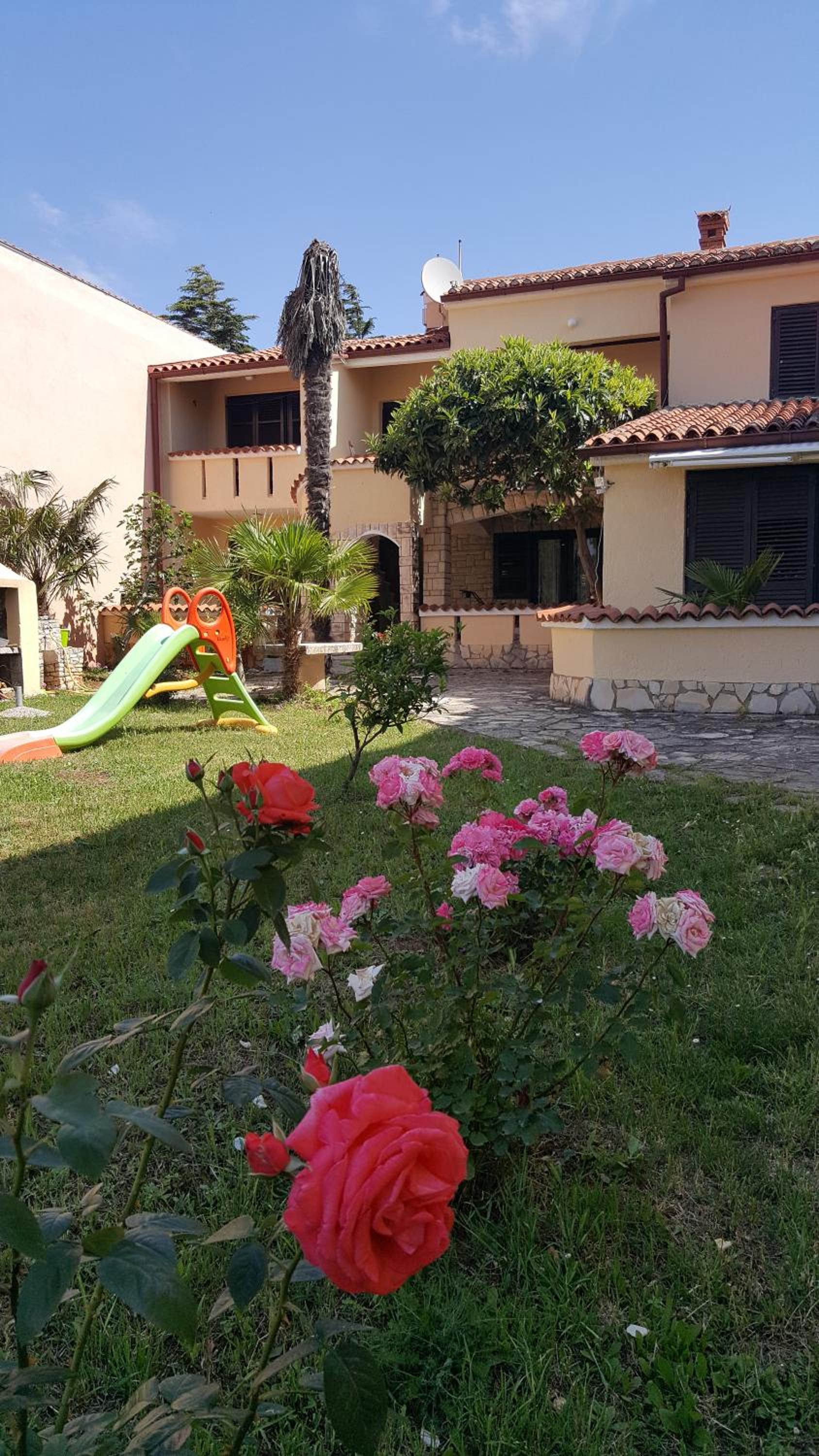 Apartmani Koin