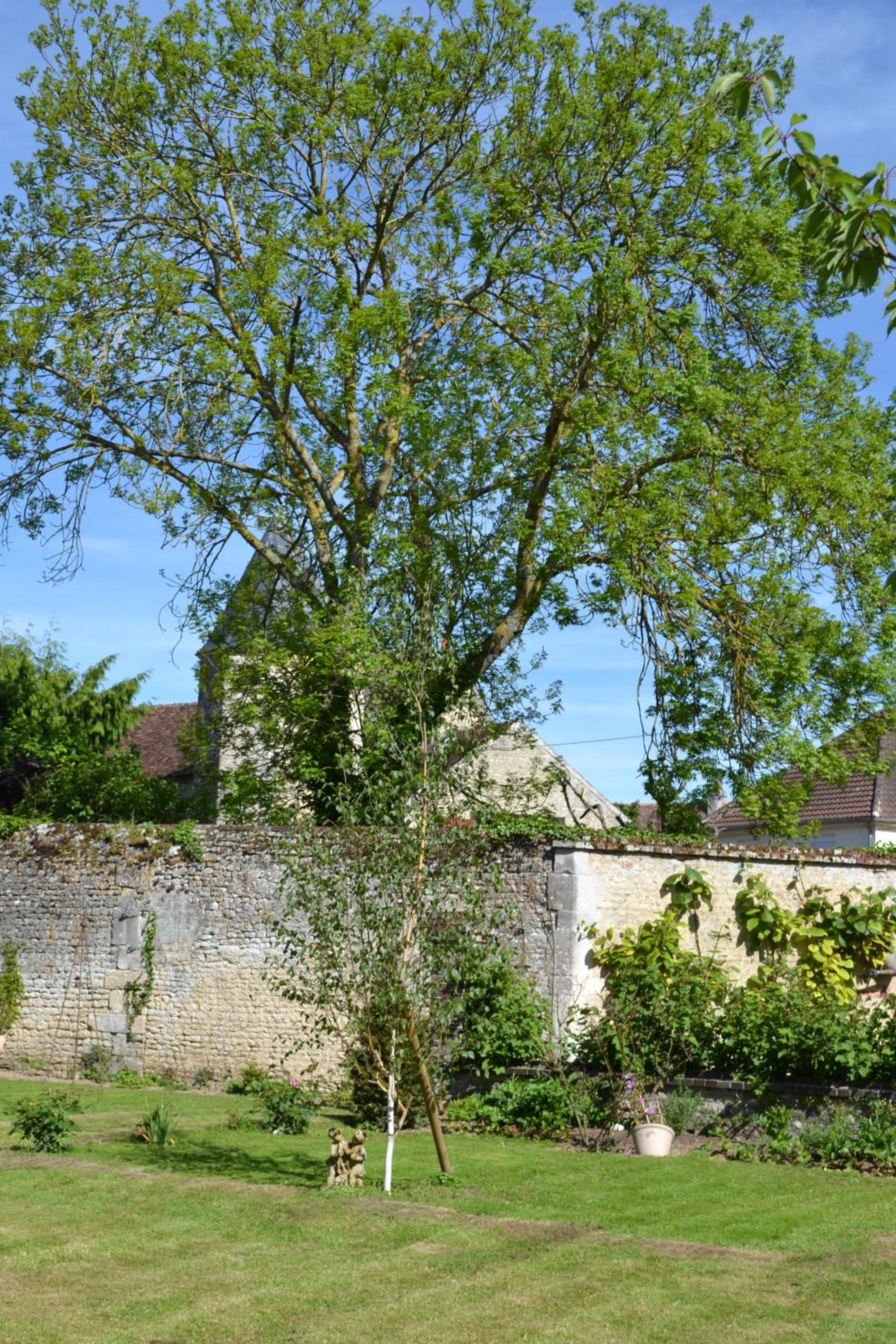 La Maison Des Buis