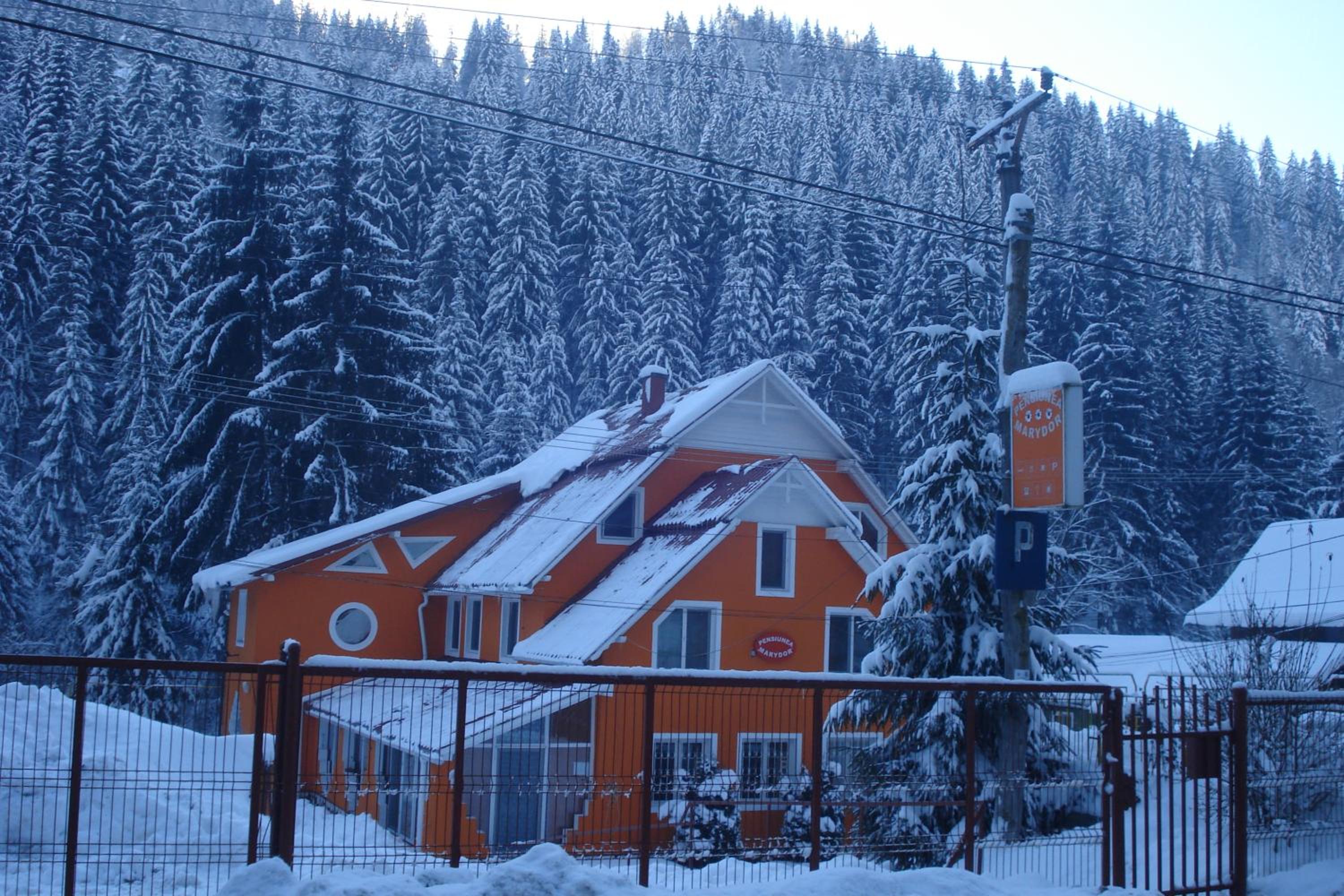 Photo 40