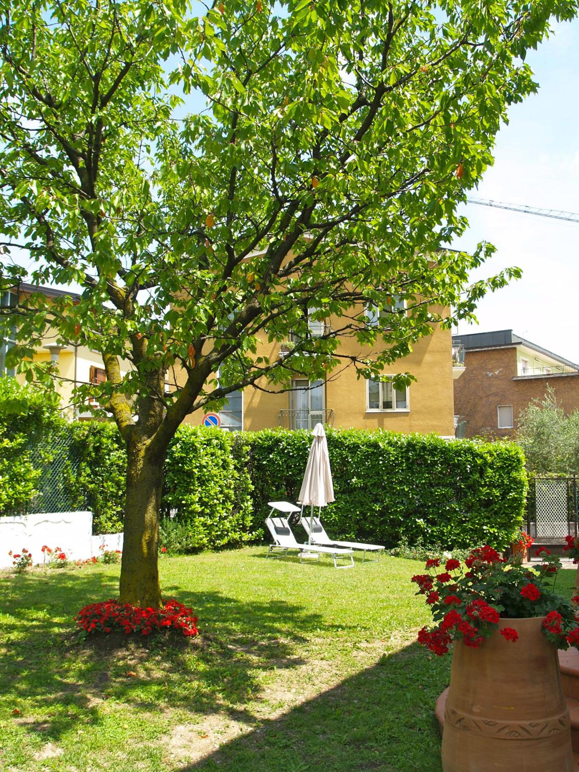 Photo 24