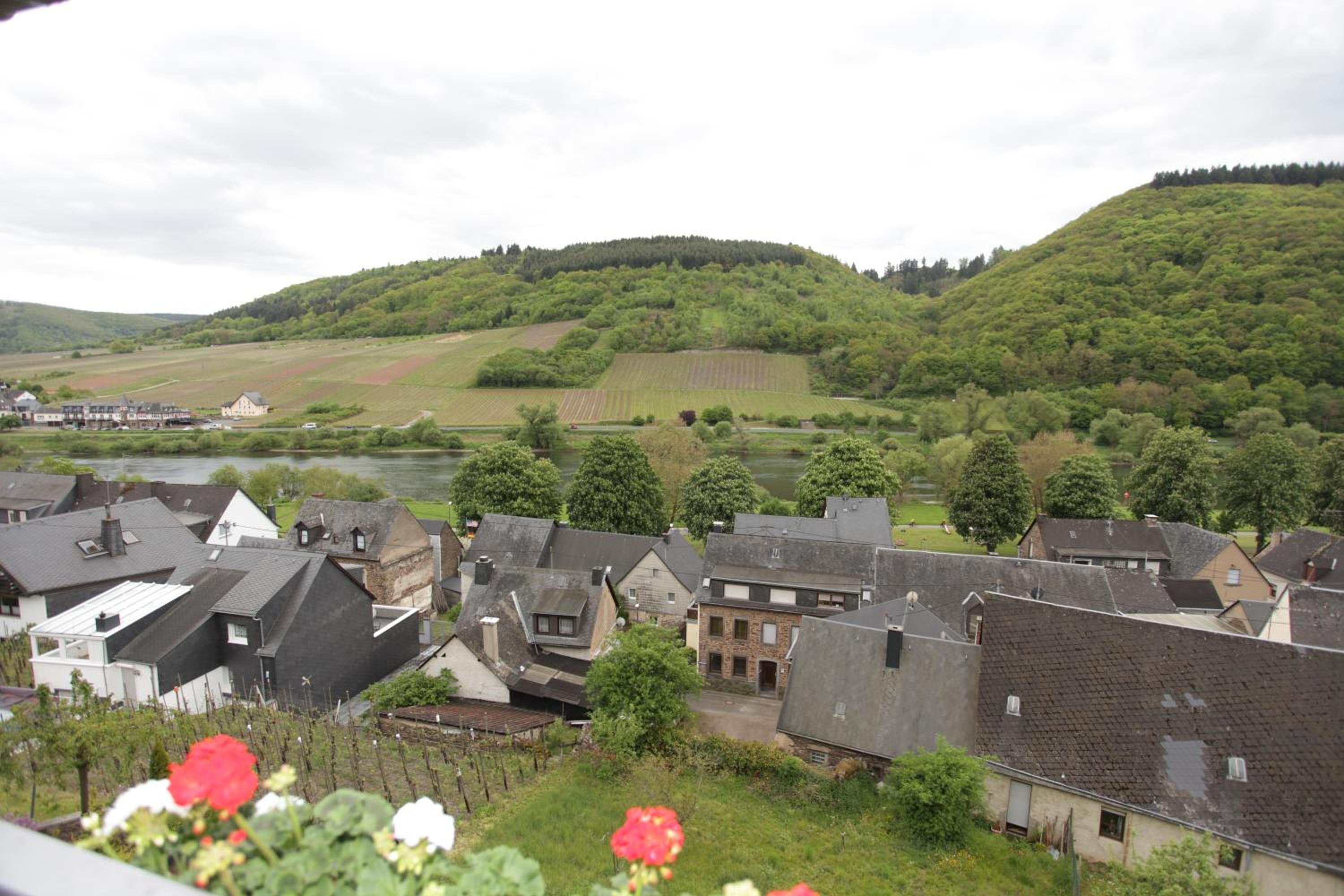 Ferienwohnung Moselblick-Stein