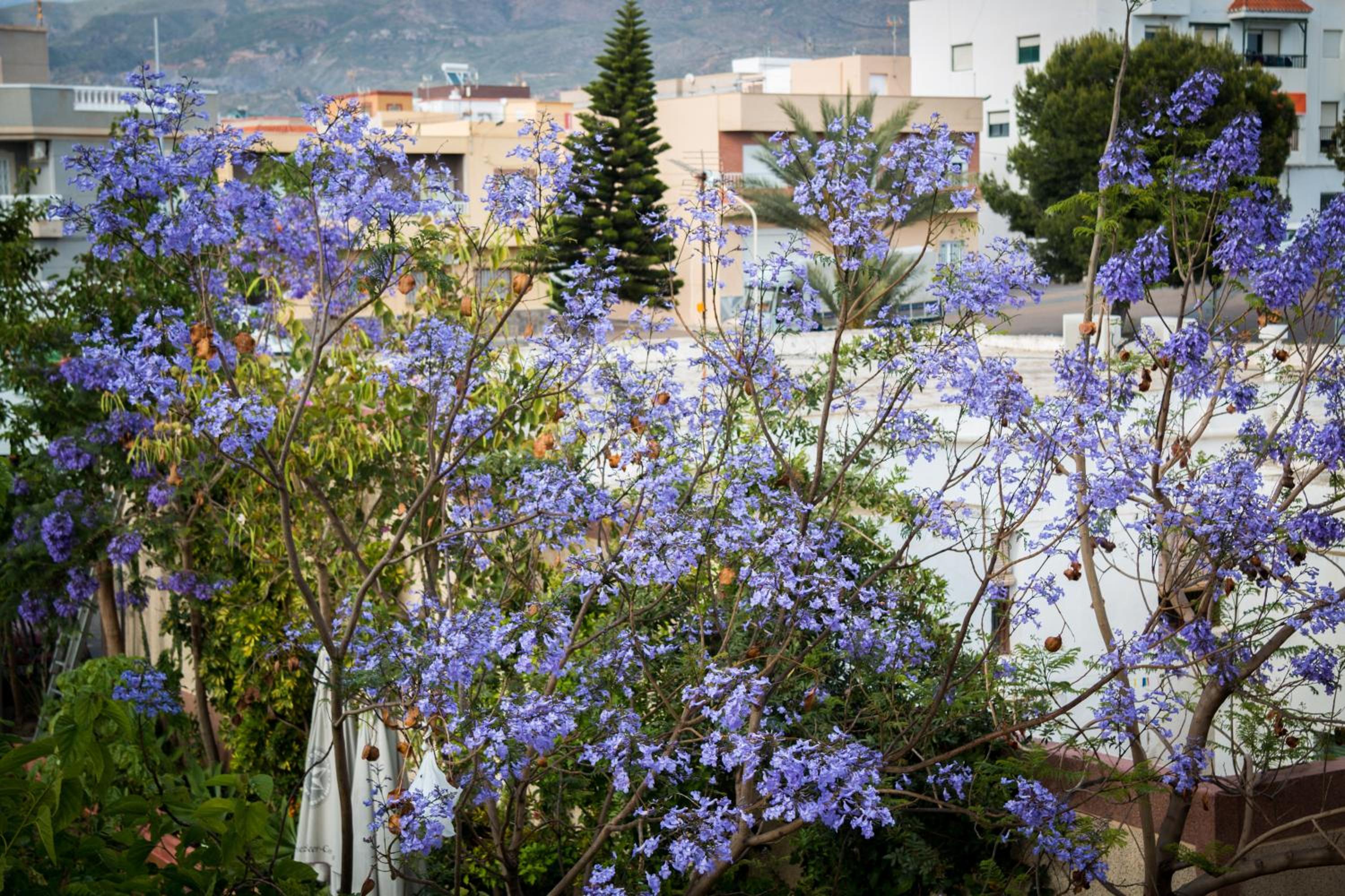 Hostal Restaurante La Curva view 5