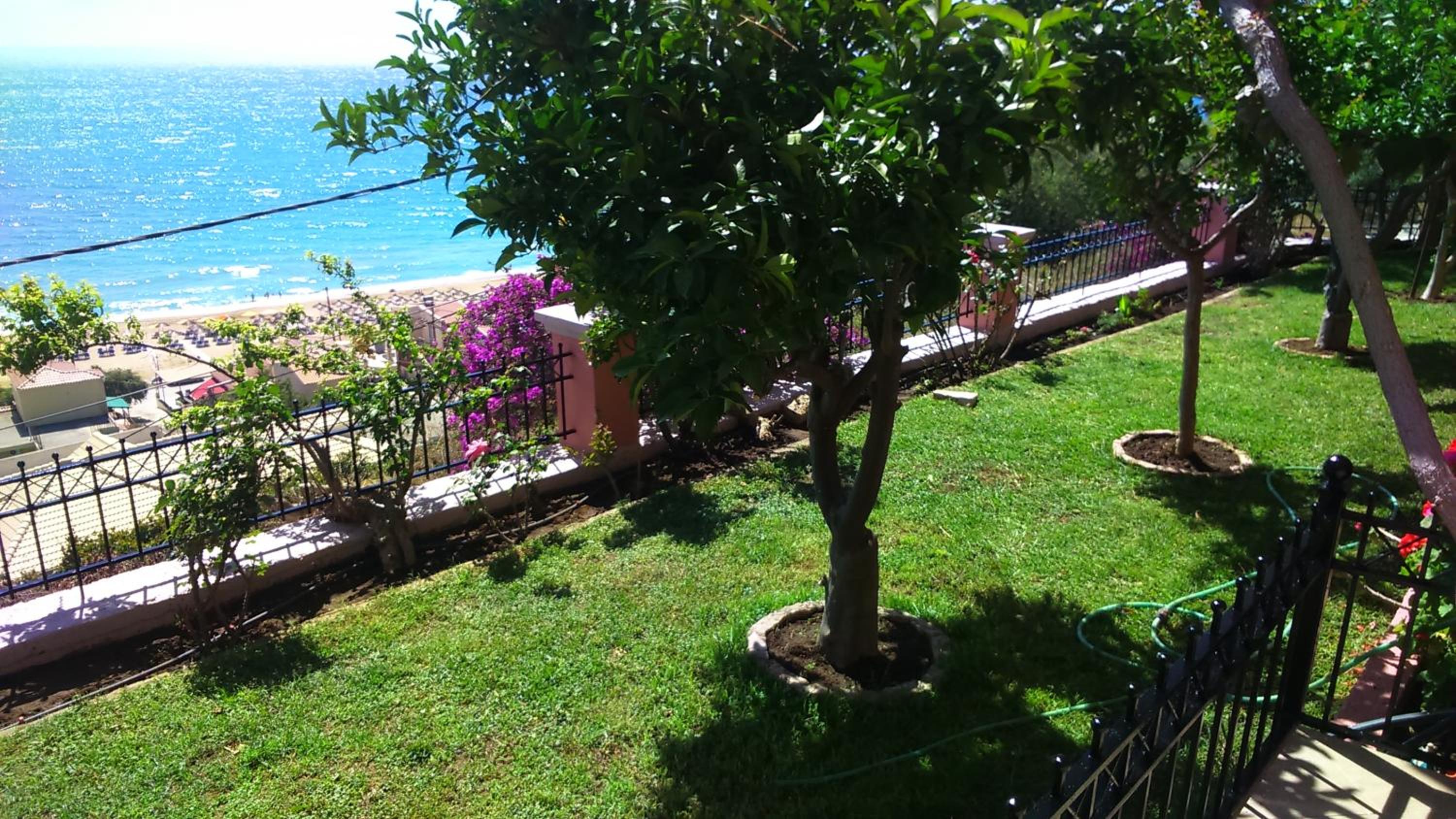 Photo 15