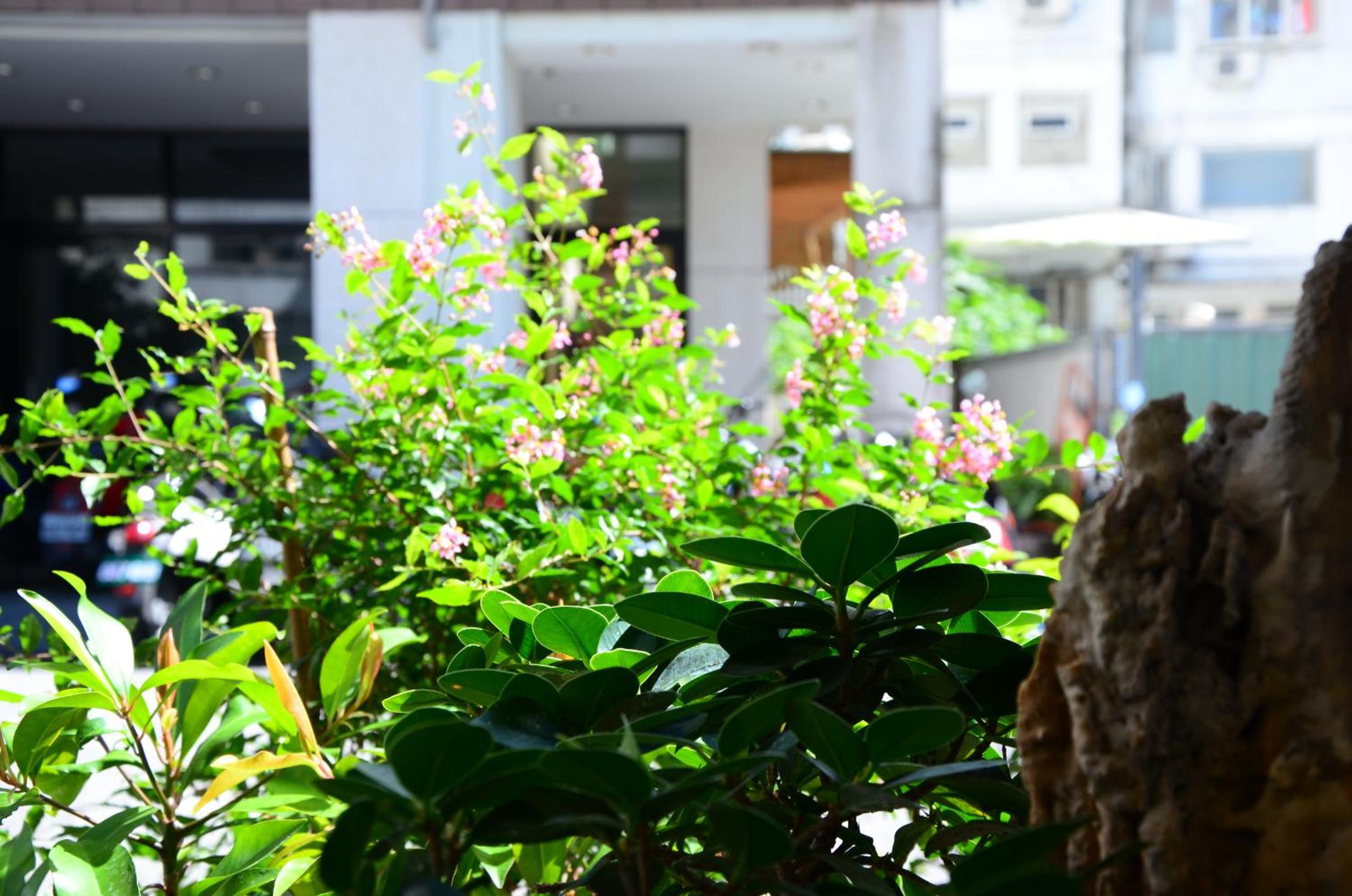 East of Love Homestay