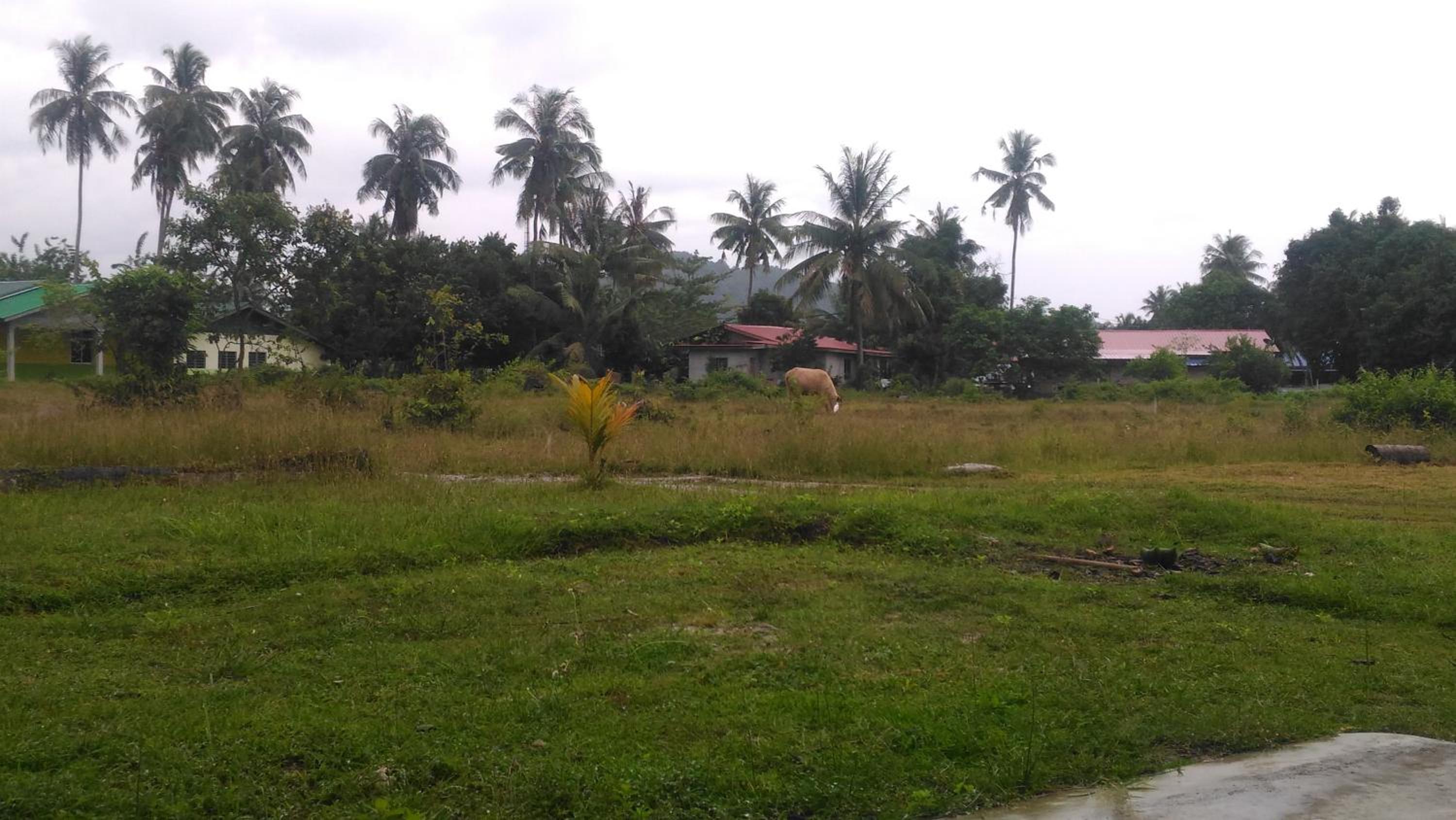 Photo 37